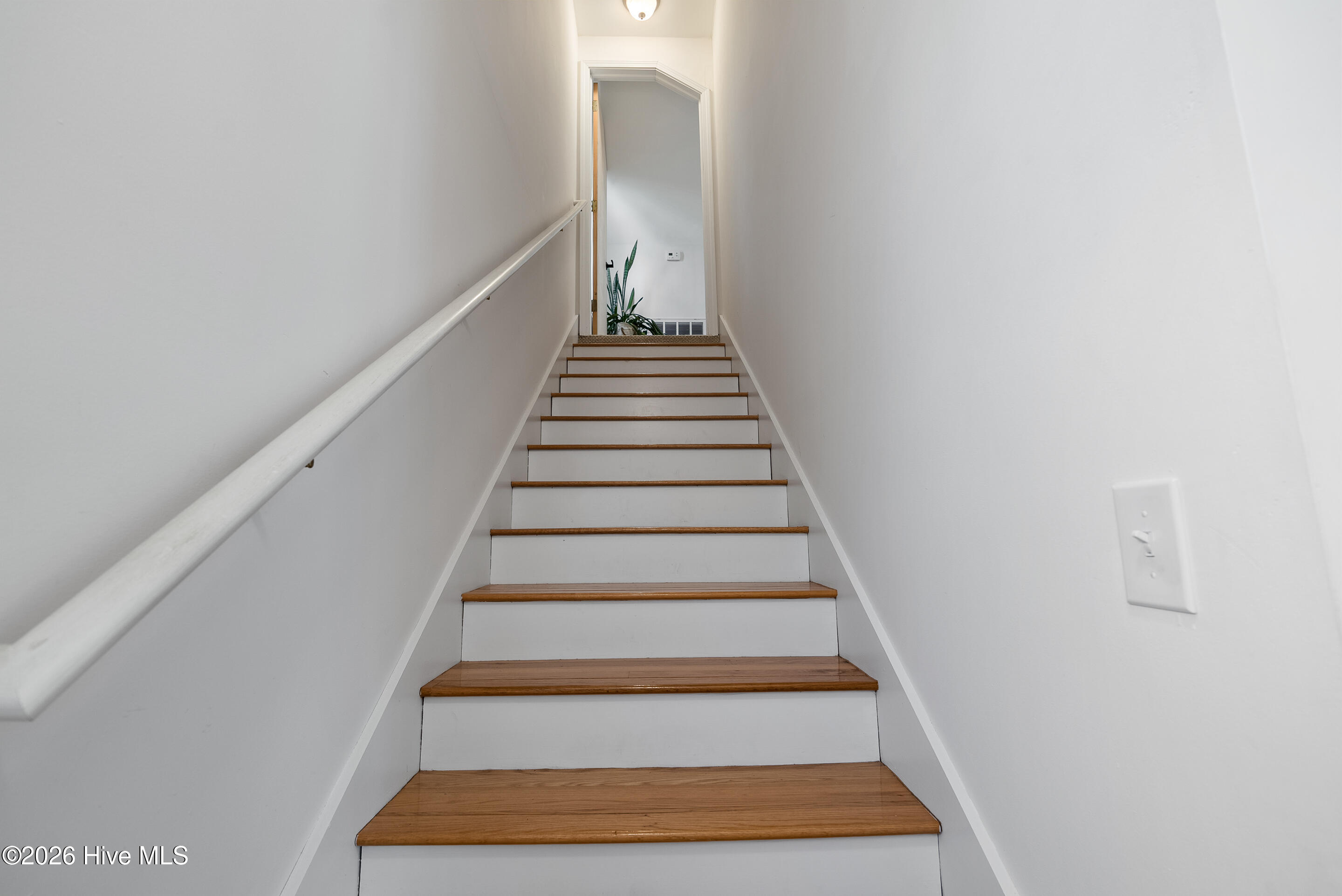 100559044 | Photo 36