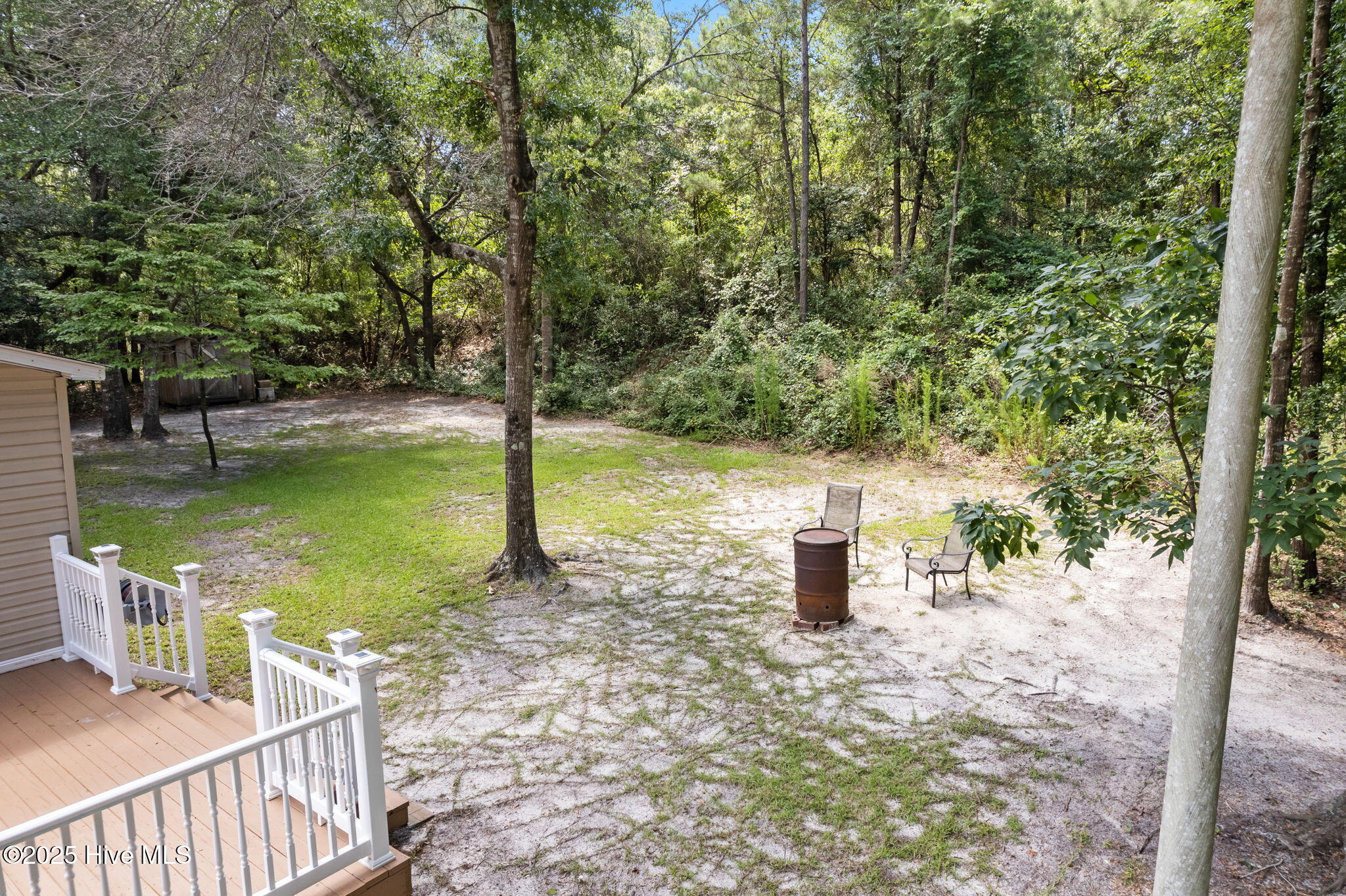 100515279 | Photo 15