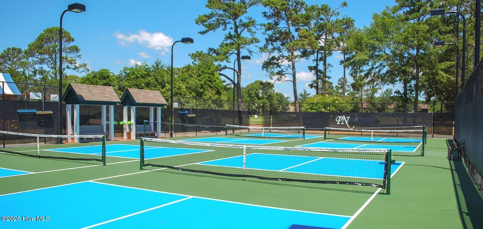 100564317 | Photo 71