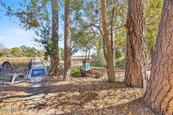 100554462 | Photo 77