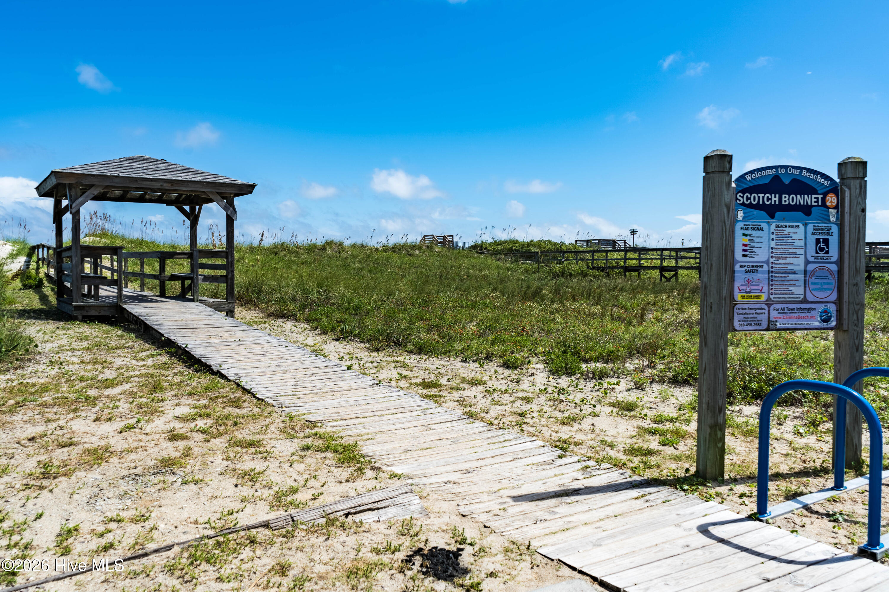 100566755 | Photo 59