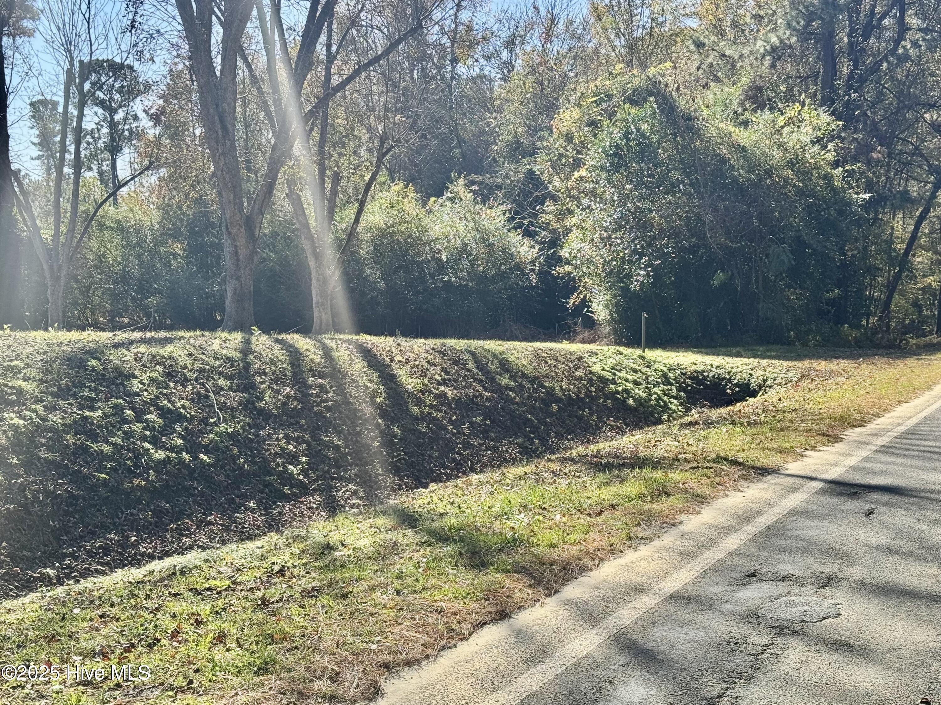 100541845 | Photo 15