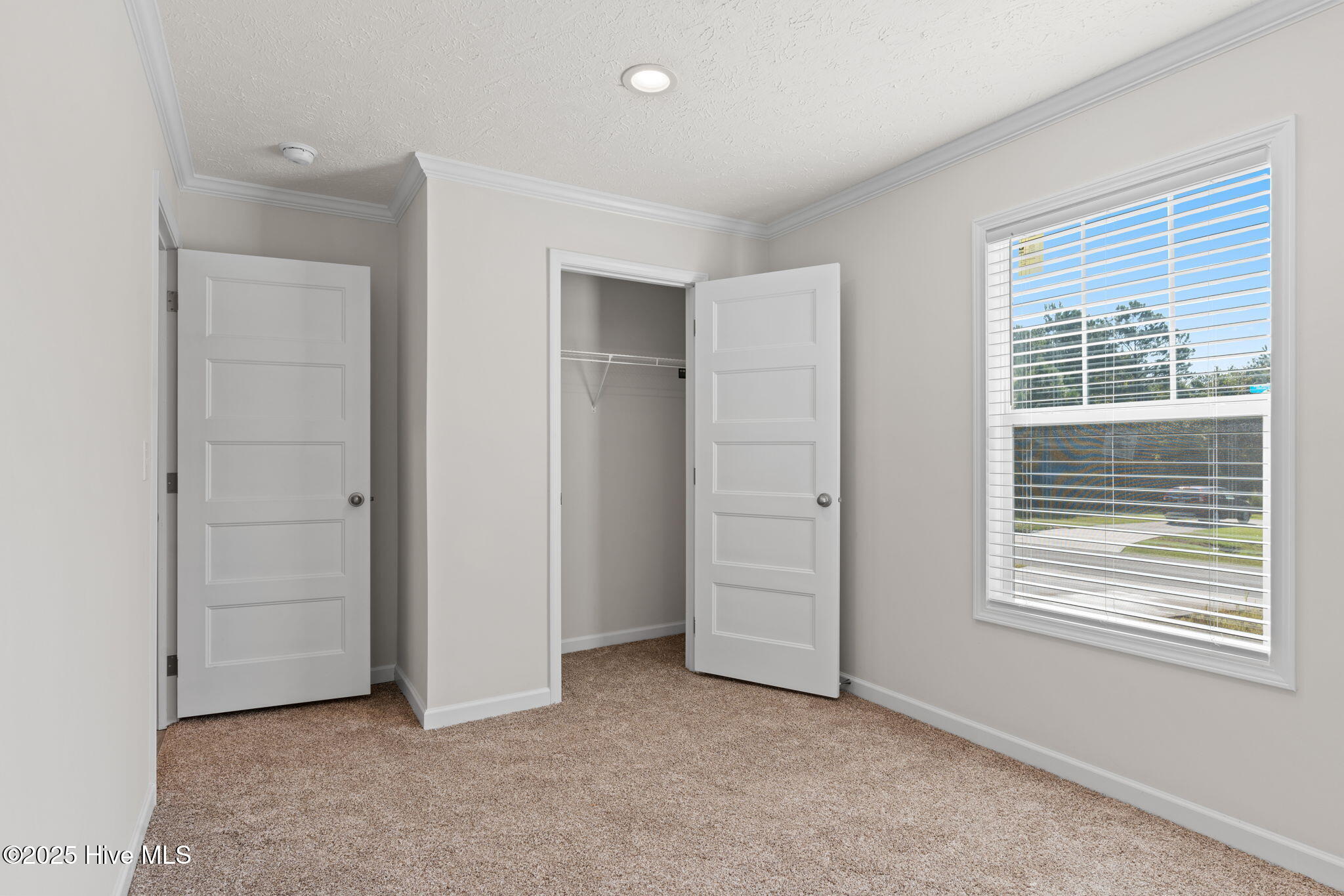 100542525 | Photo 23