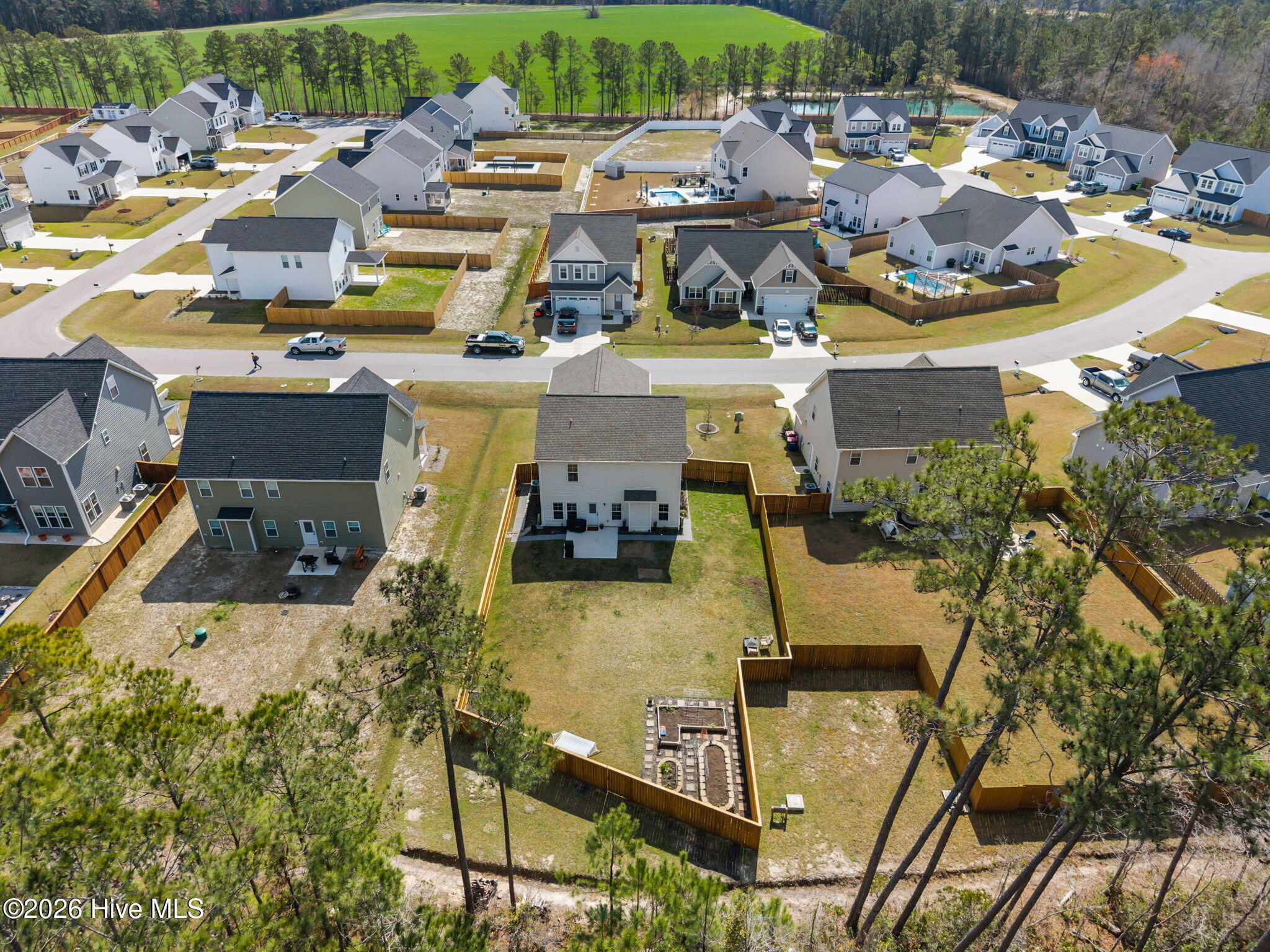 100561827 | Photo 50