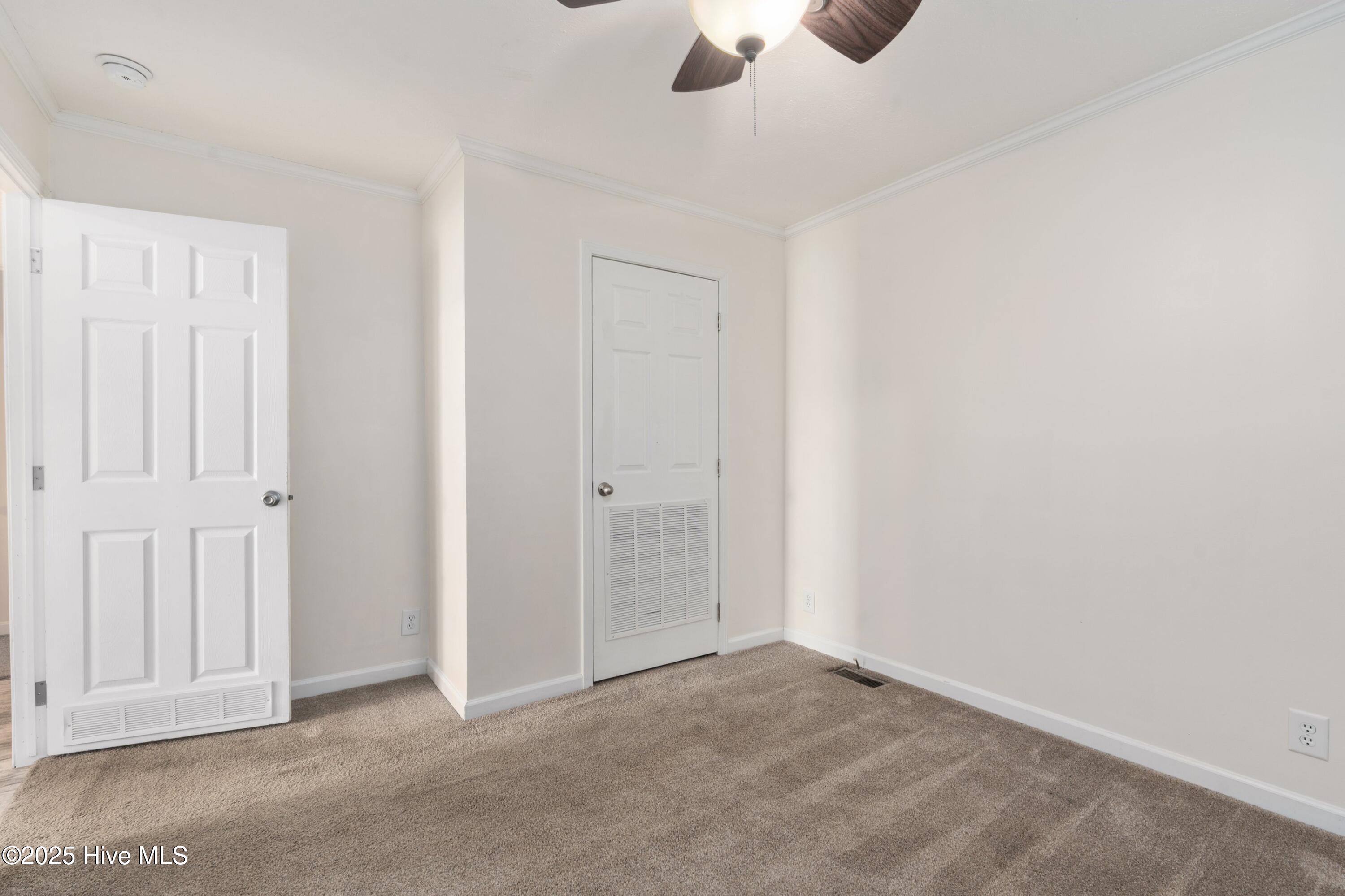 100538120 | Photo 21