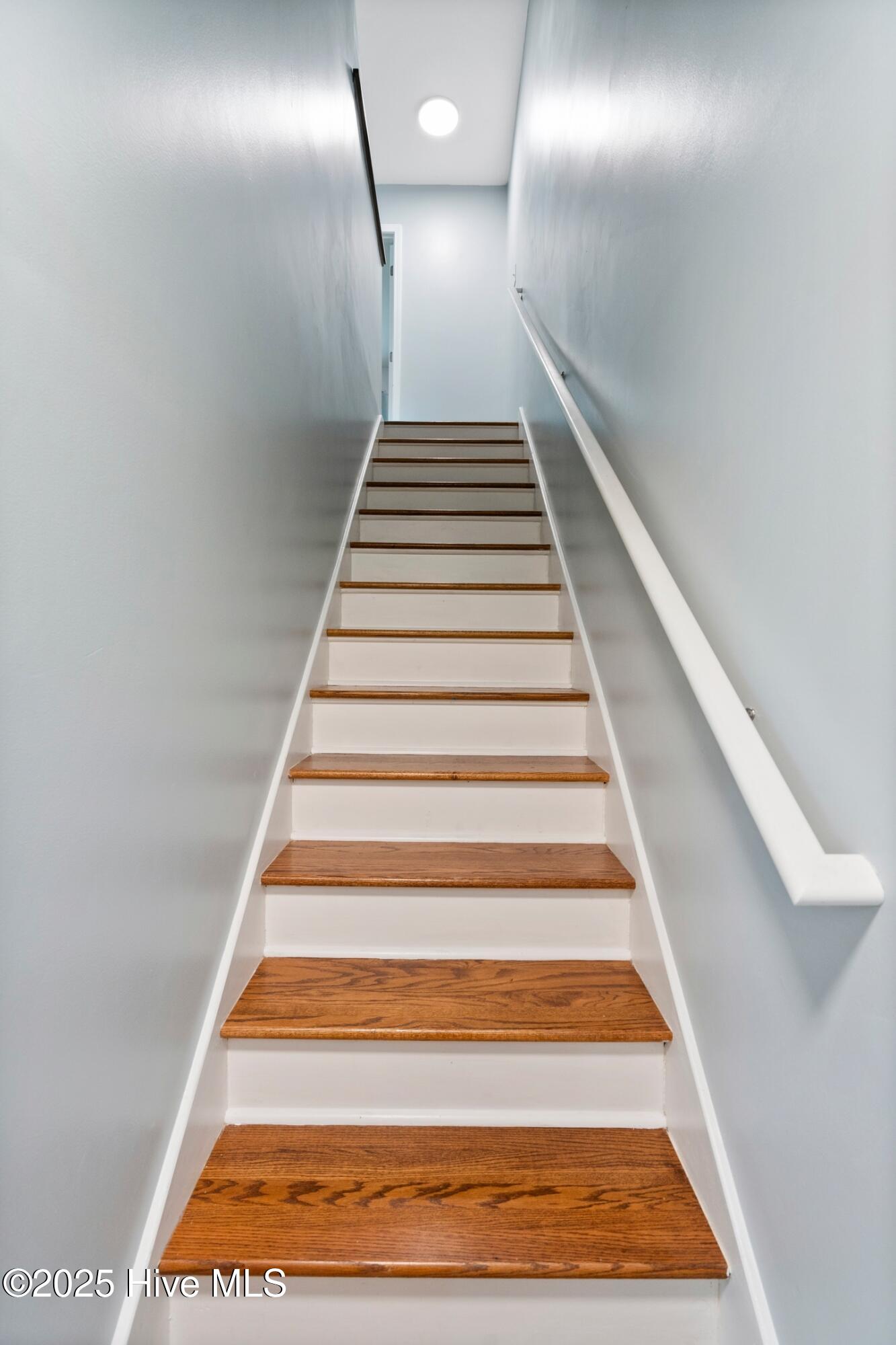 100536267 | Photo 23