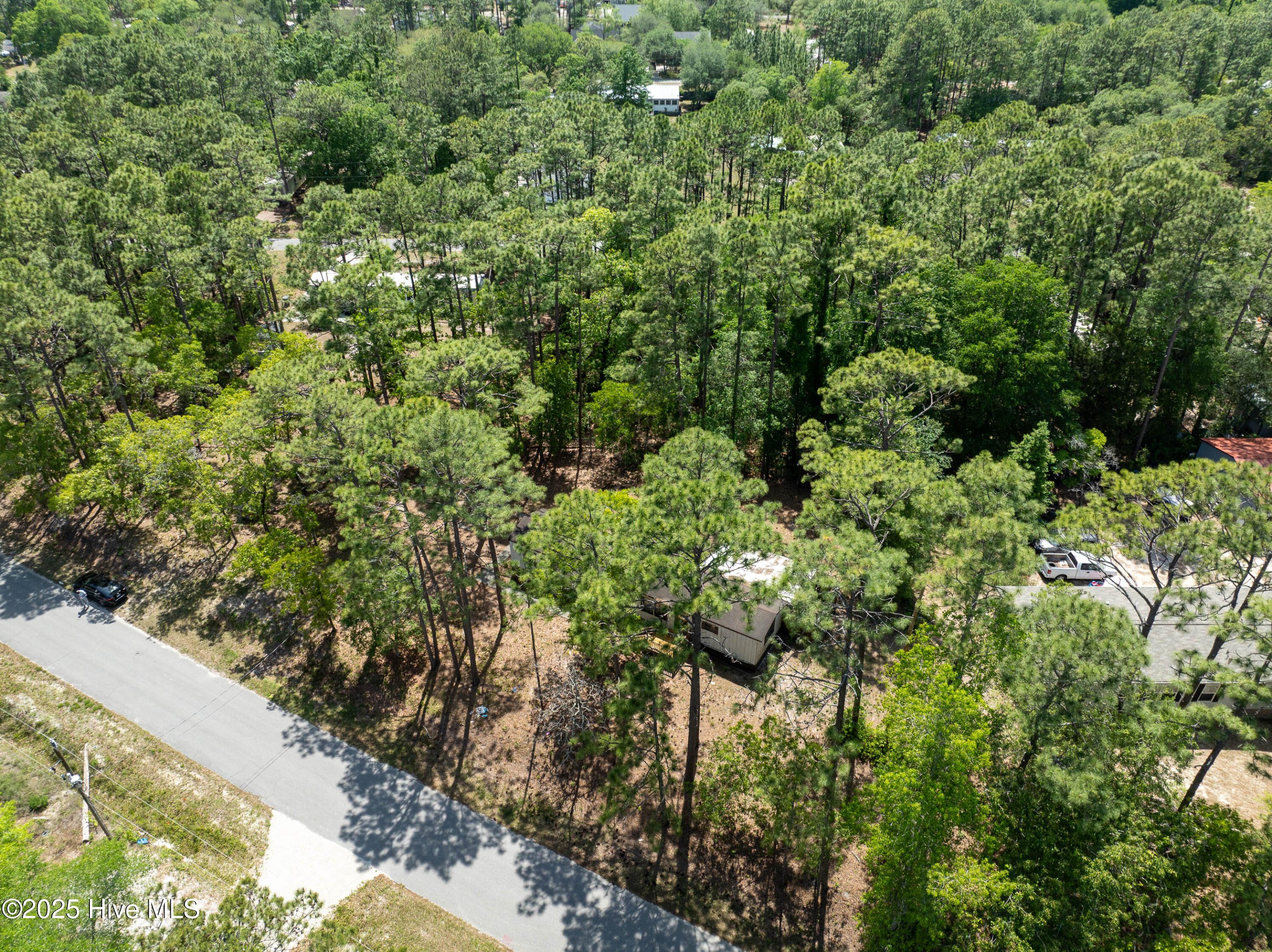 100540906 | Photo 26