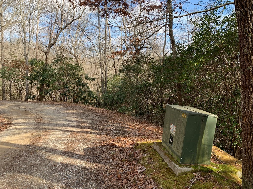 Homes for sale in Nantahala, NC | Lot# 10 Forest Vista Ln, Nantahala, NC 28781 | MLS# 98544397