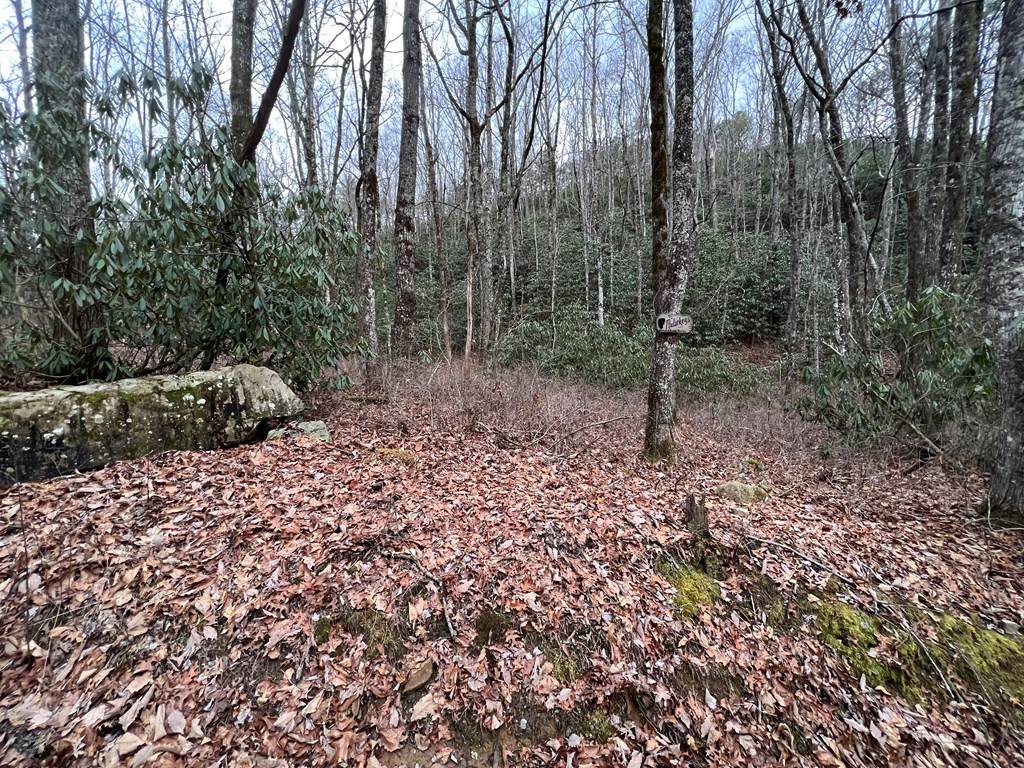 Homes for sale in Andrews, NC | Lot 170 Granny Squirrel Dr, Andrews, NC 28901 | MLS# 98544040