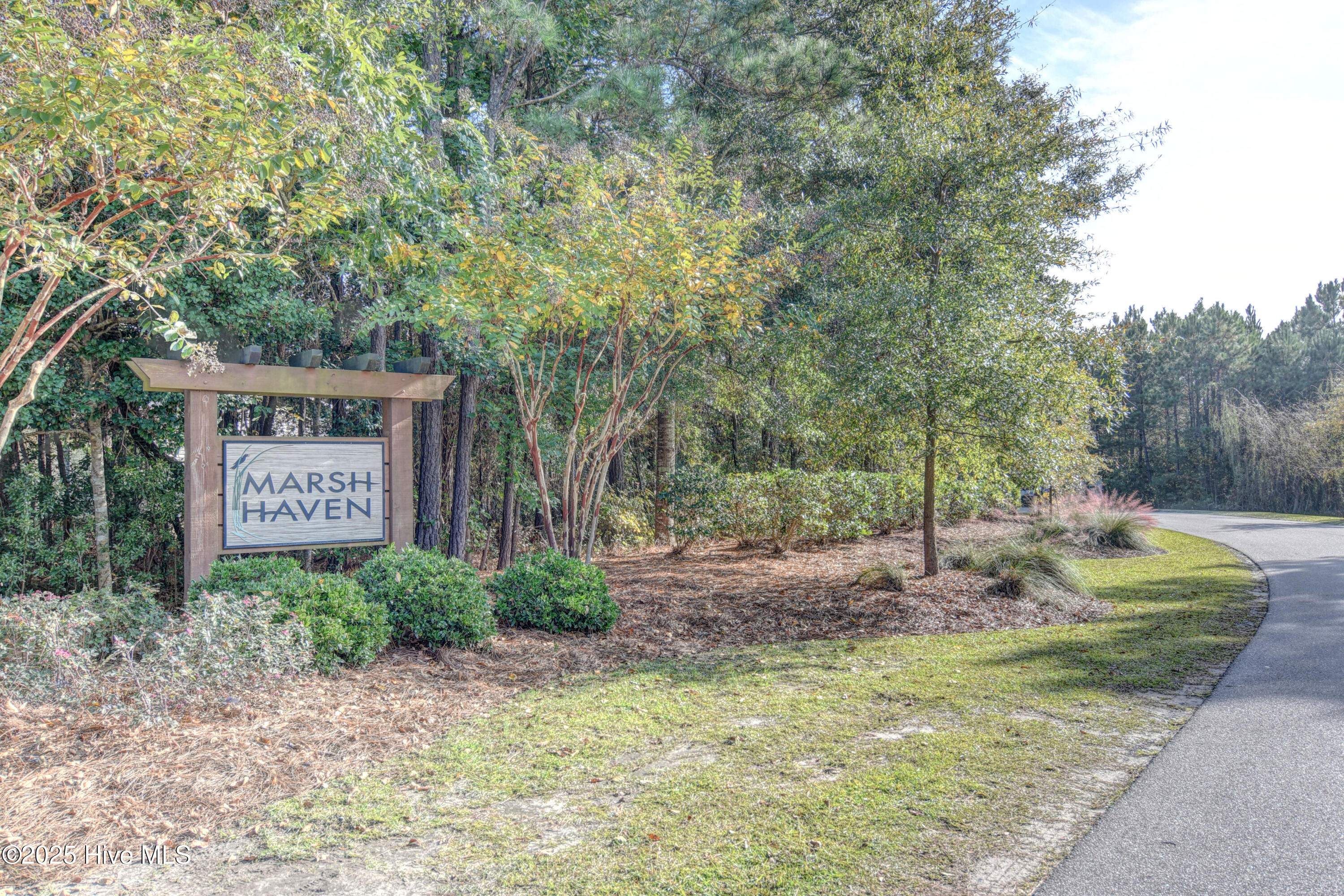 100556122 | Photo 10