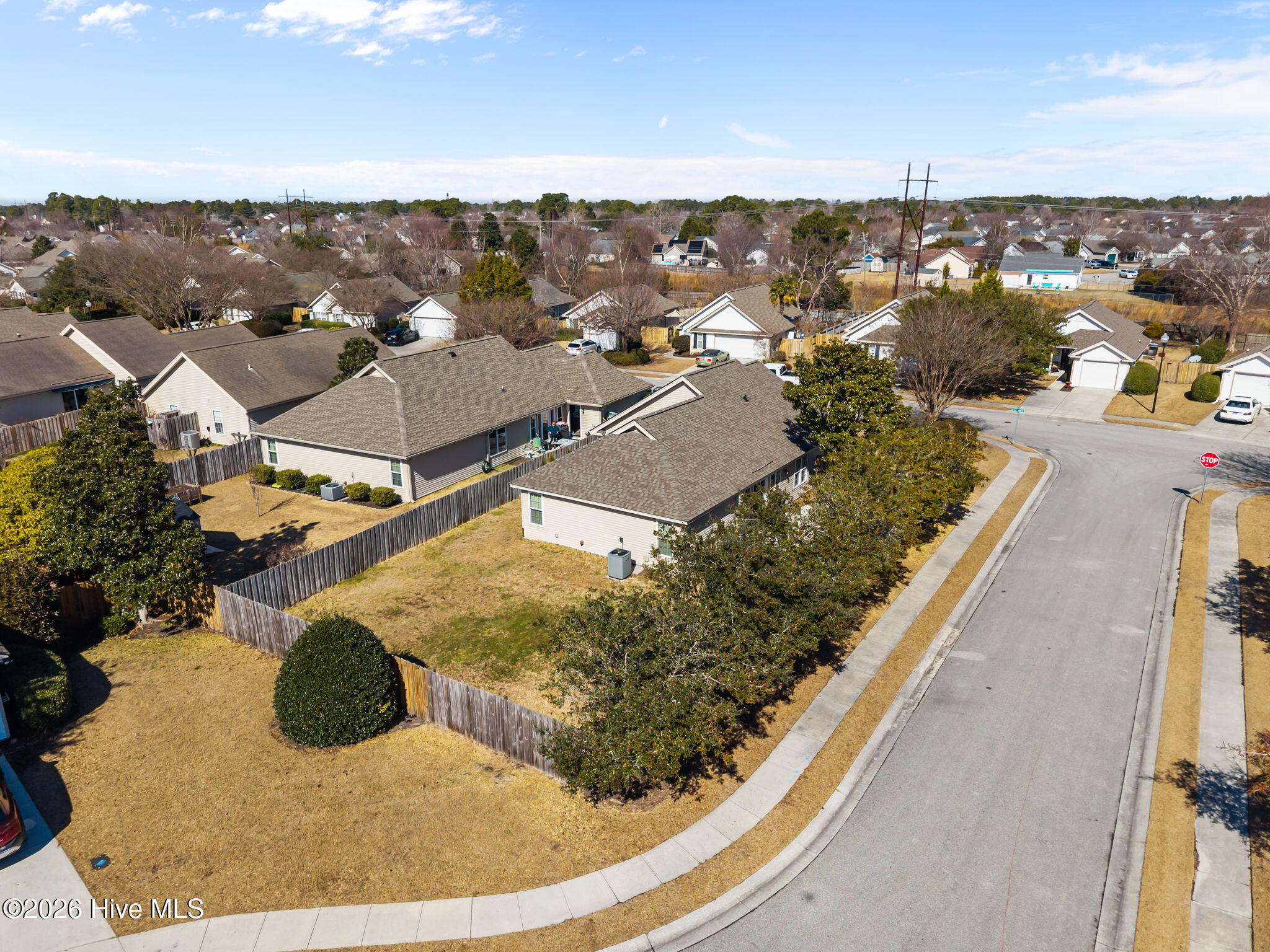 100556215 | Photo 58