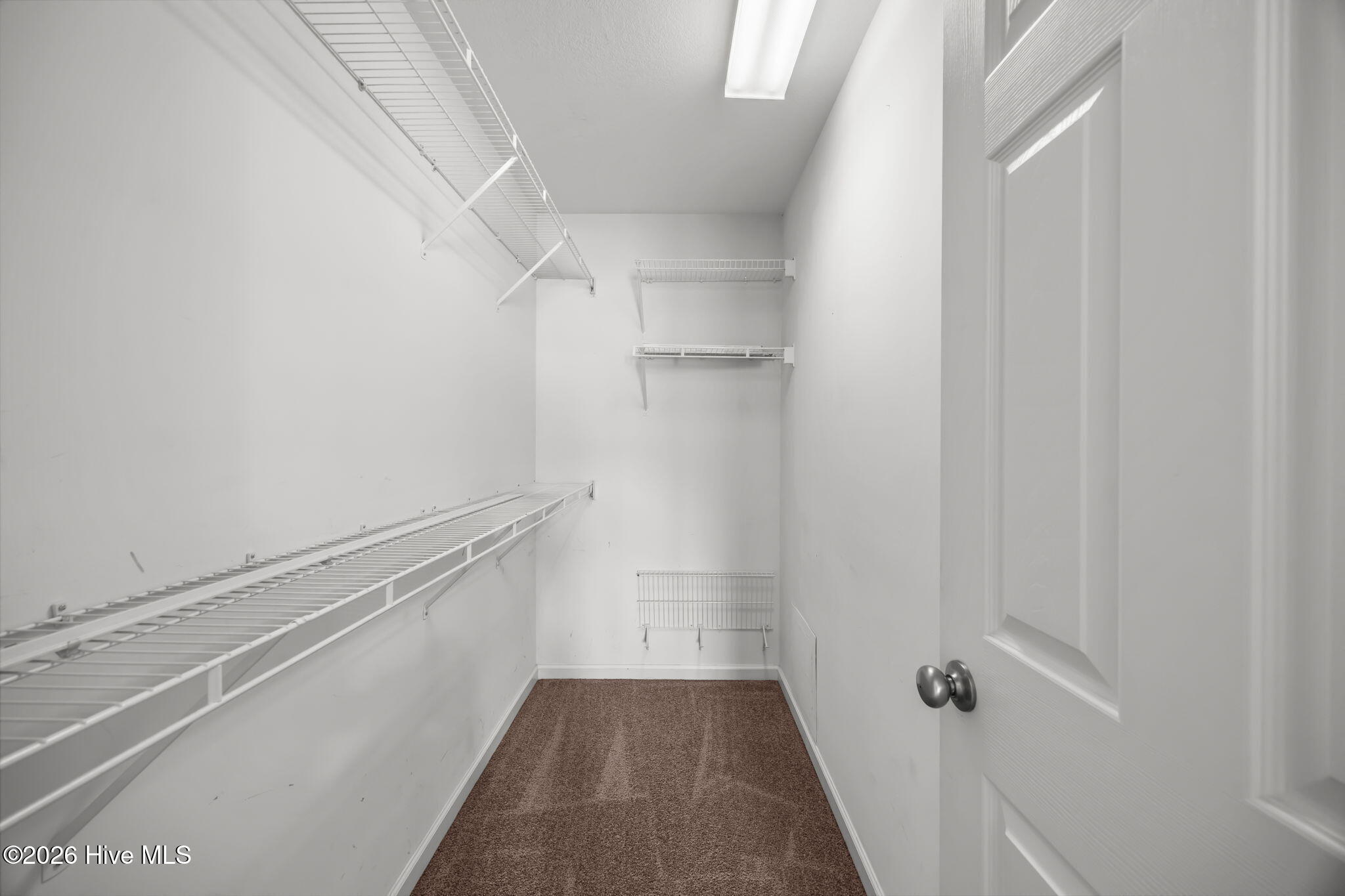 100558260 | Photo 26