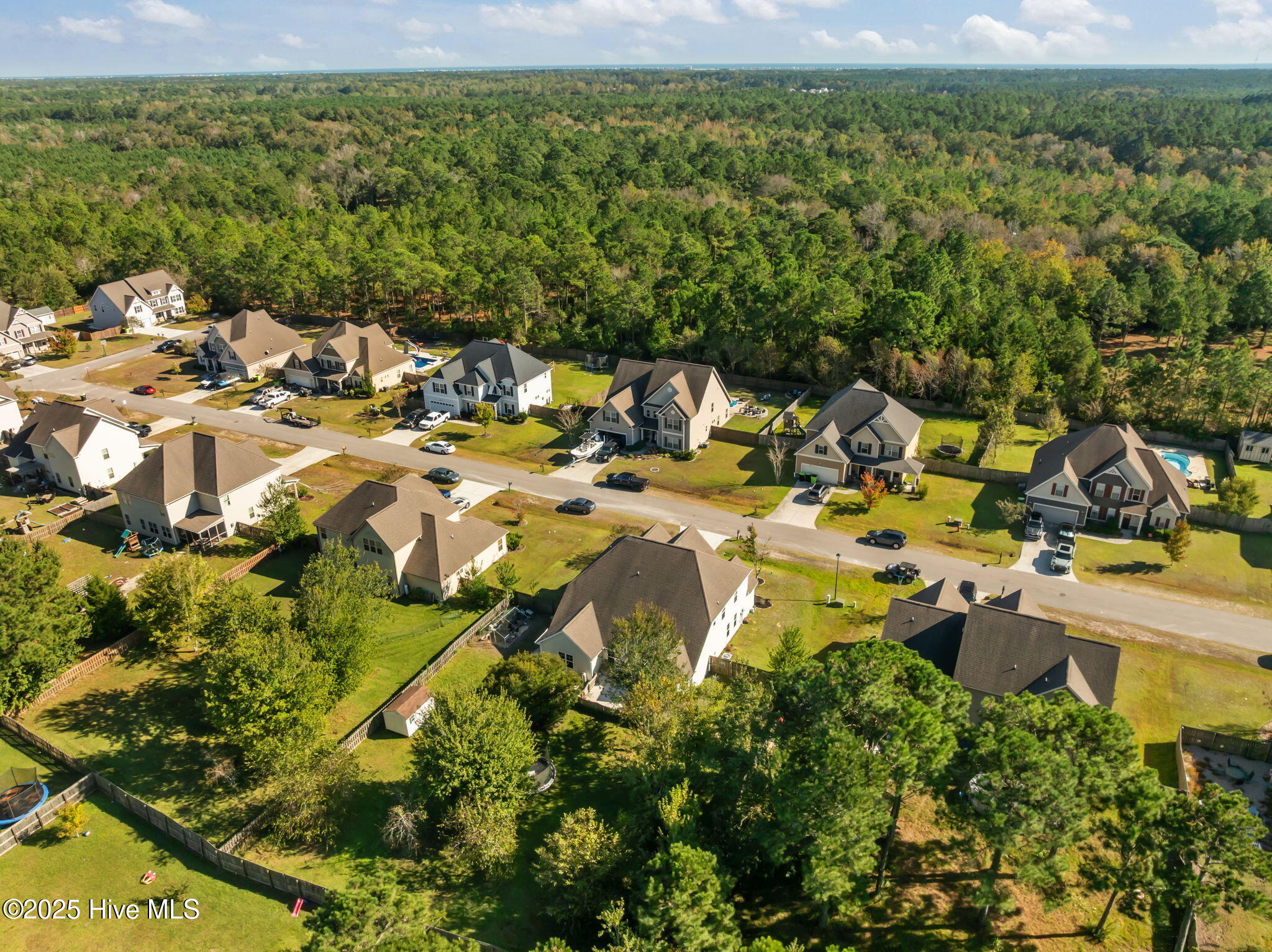 100538914 | Photo 51