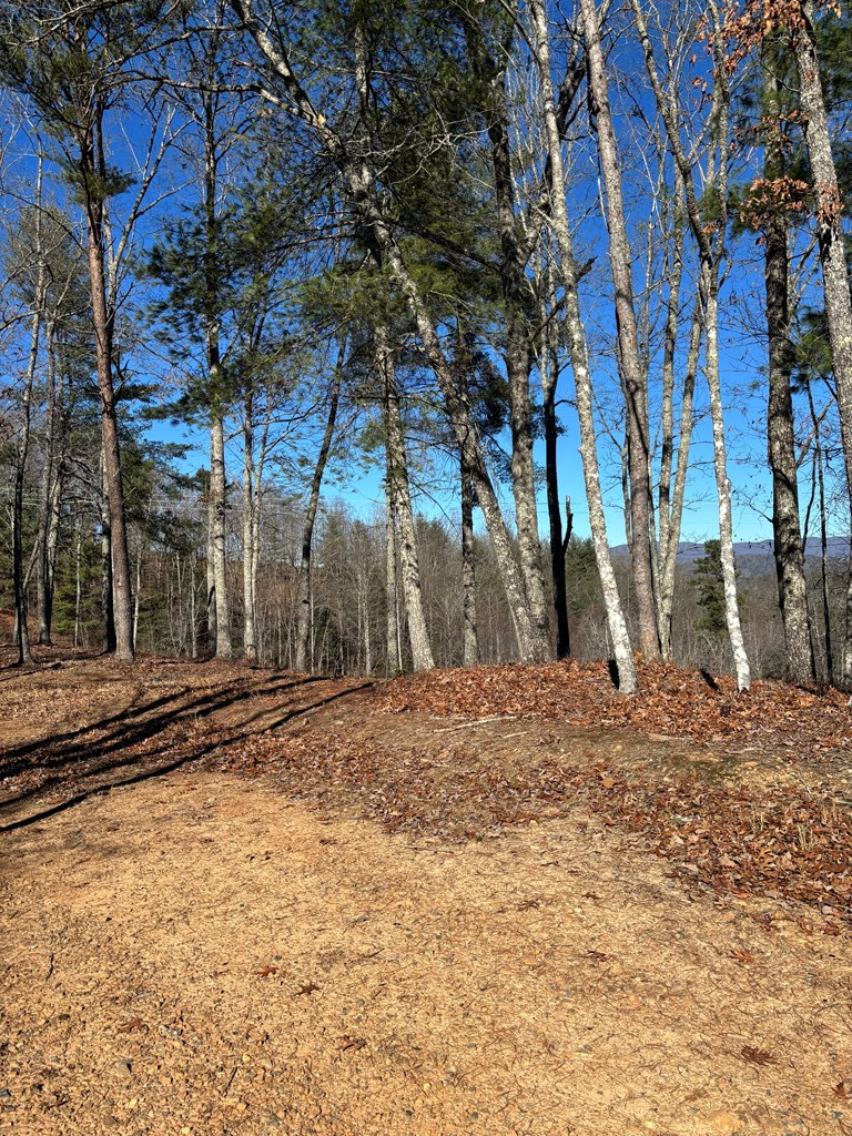 Exterior photo of Lot 63 Thundering Hill, Murphy, NC 28906. MLS: 98509195