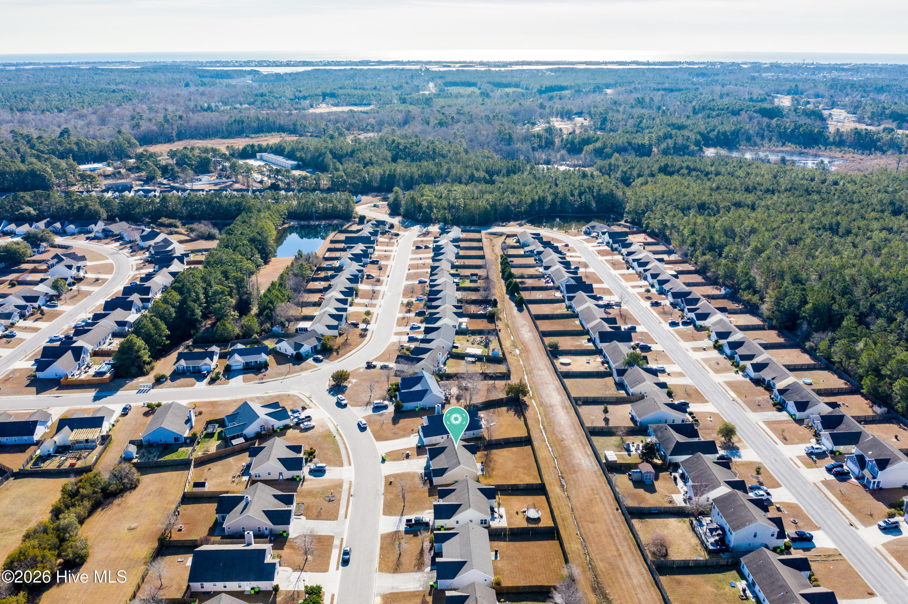 100550562 | Photo 35