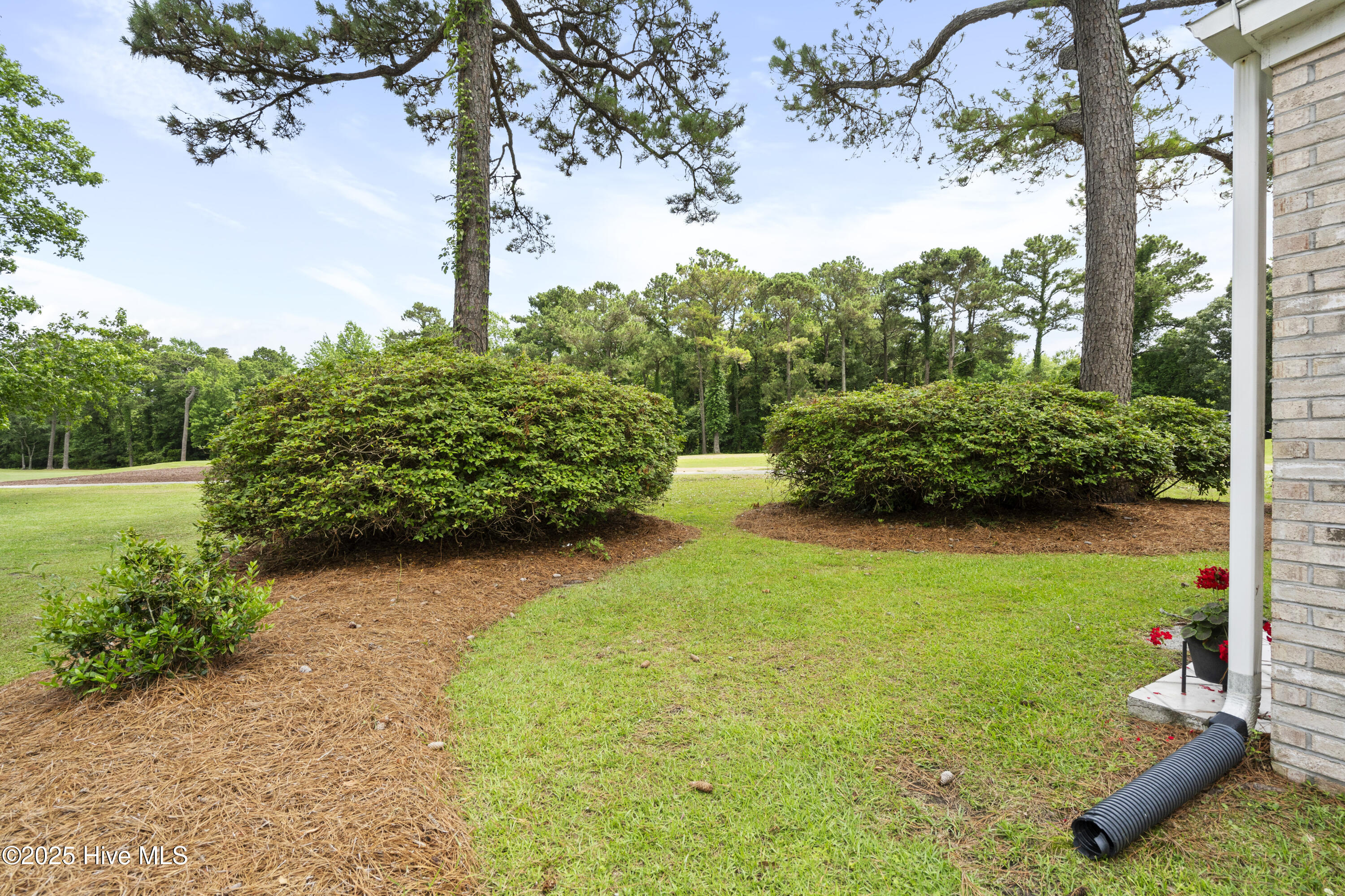 106 N Shore Drive, Sneads Ferry, NC 28460 – photo 10: DSC04980