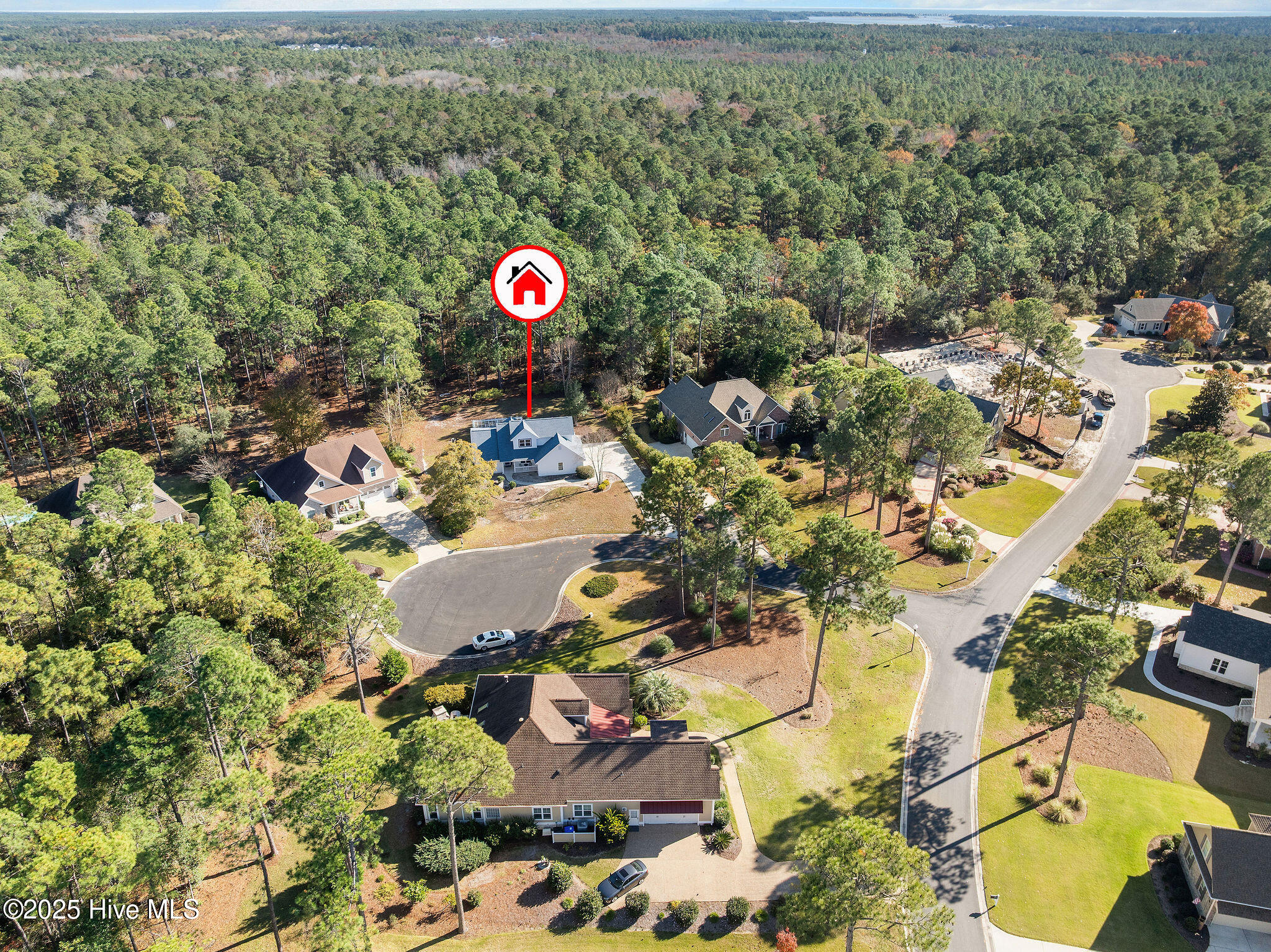 100541401 | Photo 46