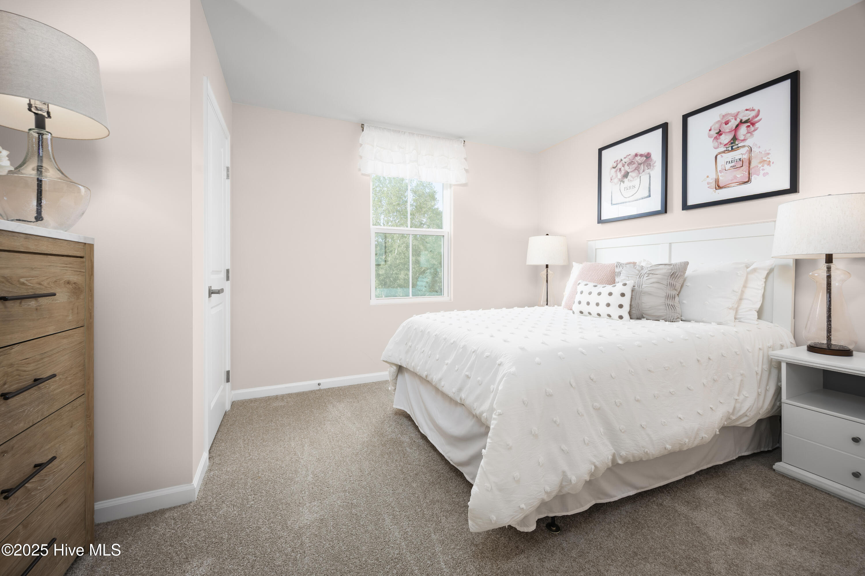 100562534 | Photo 14