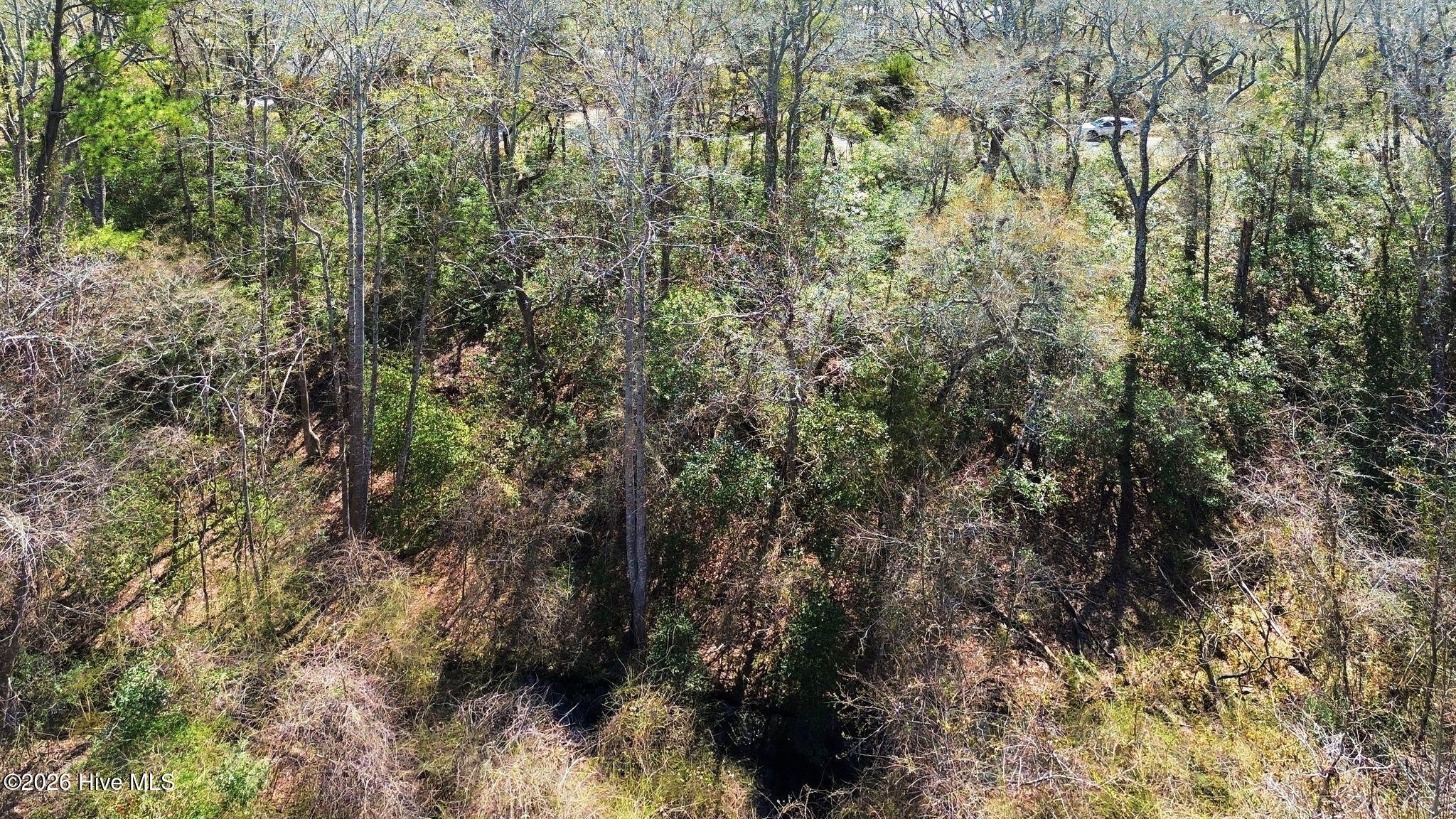 100560129 | Photo 27