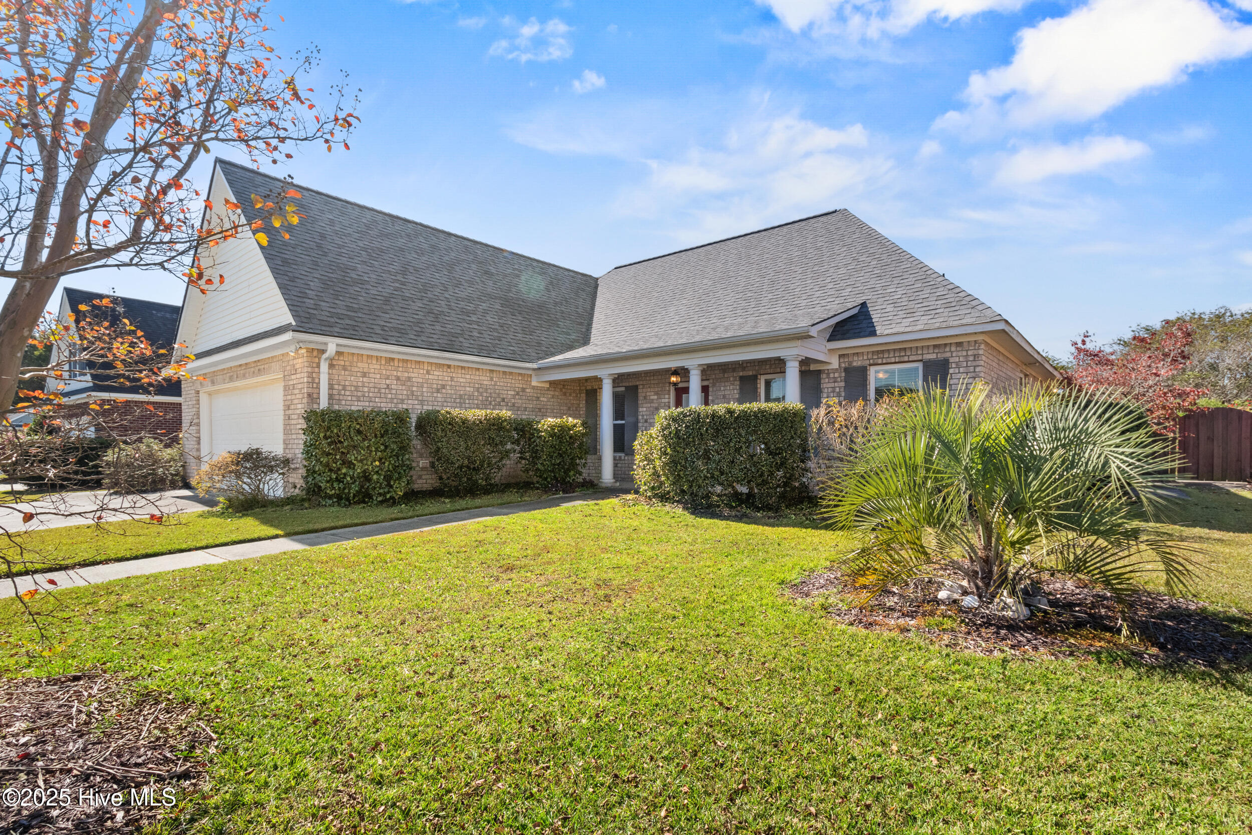 100537389 | Photo 34