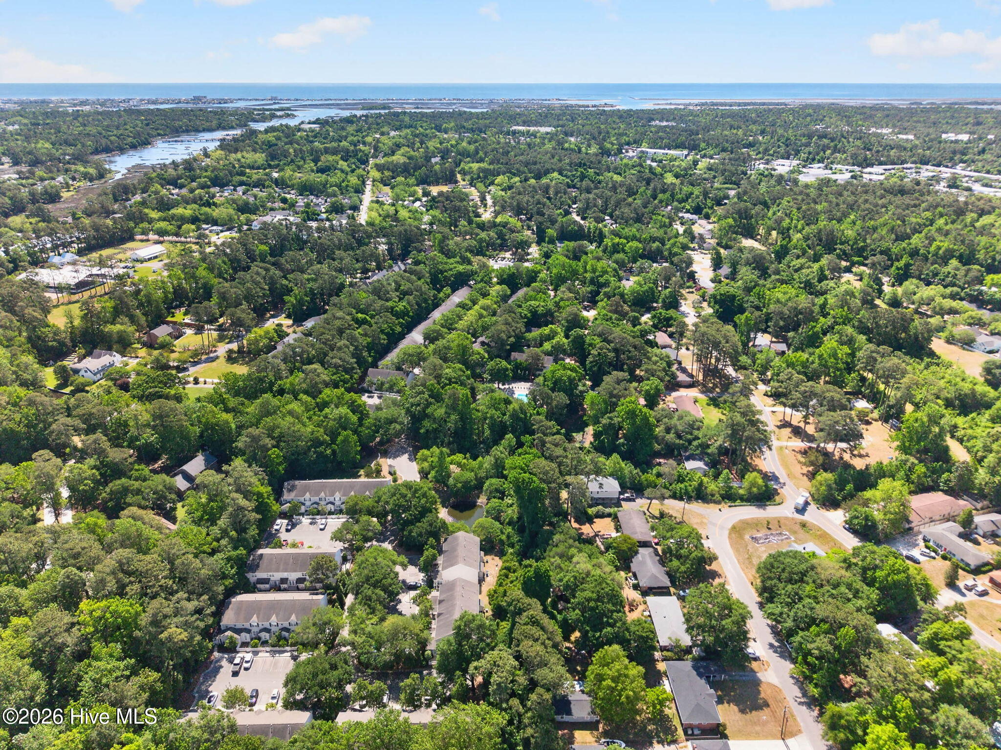 100570358 | Photo 46