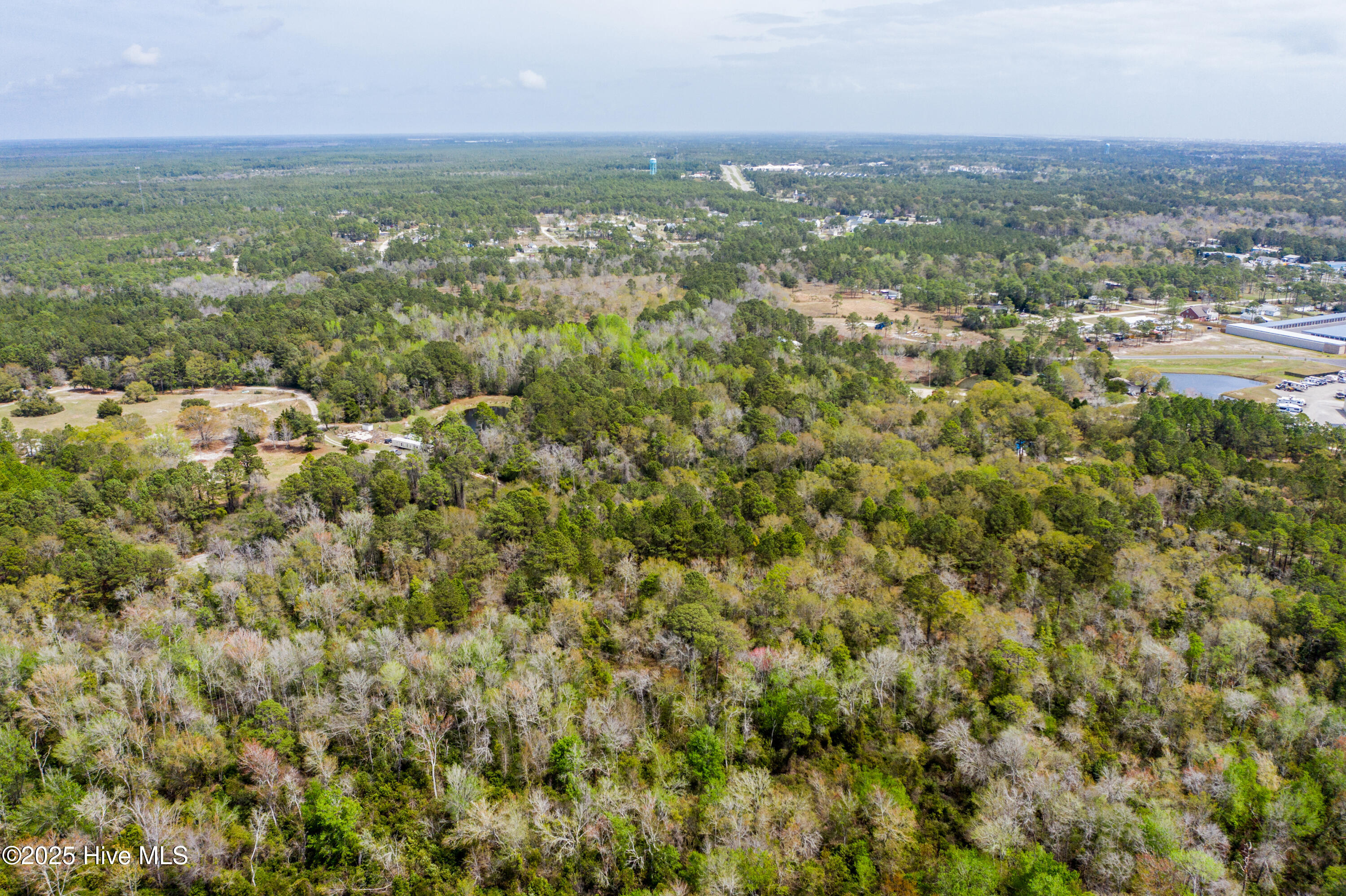 100500100 | Photo 10