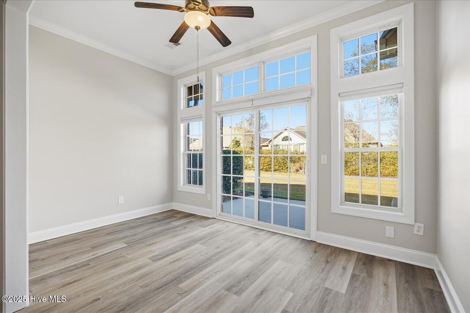 100543356 | Photo 22