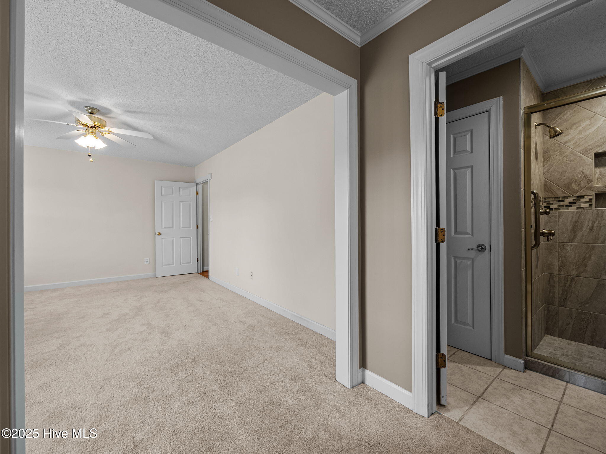 100534151 | Photo 26