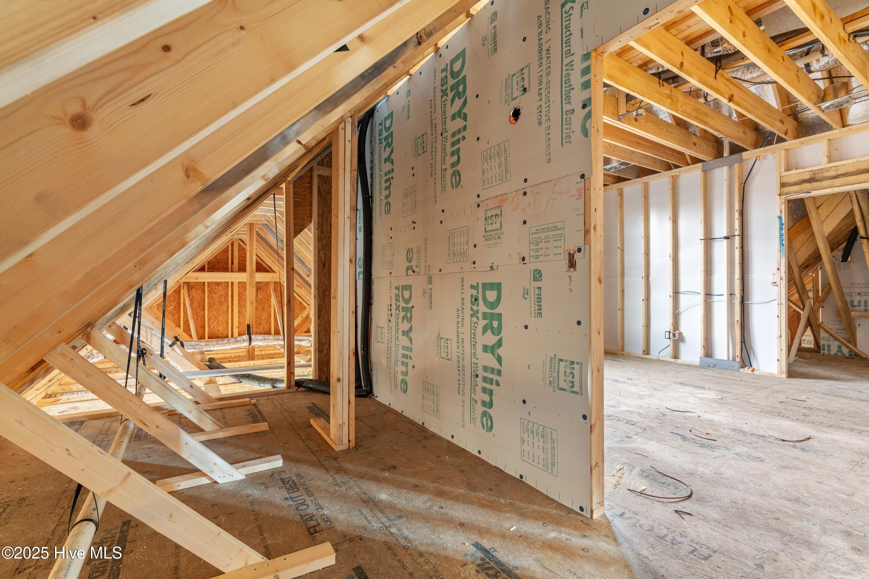 100543069 | Photo 64