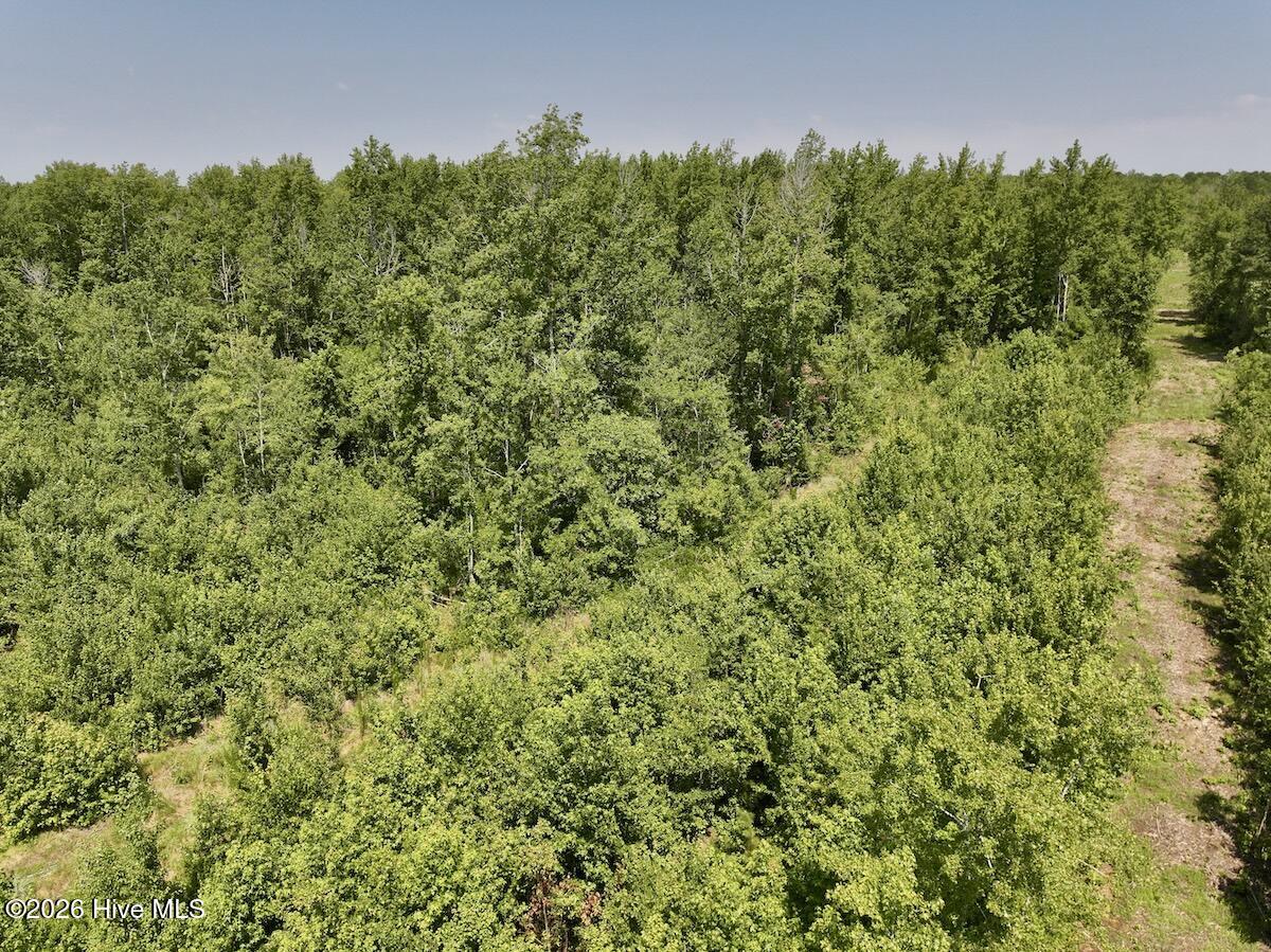 Exterior photo of 0 20 Guinea Mill Road, Ernul, NC 28527. MLS: 100587076