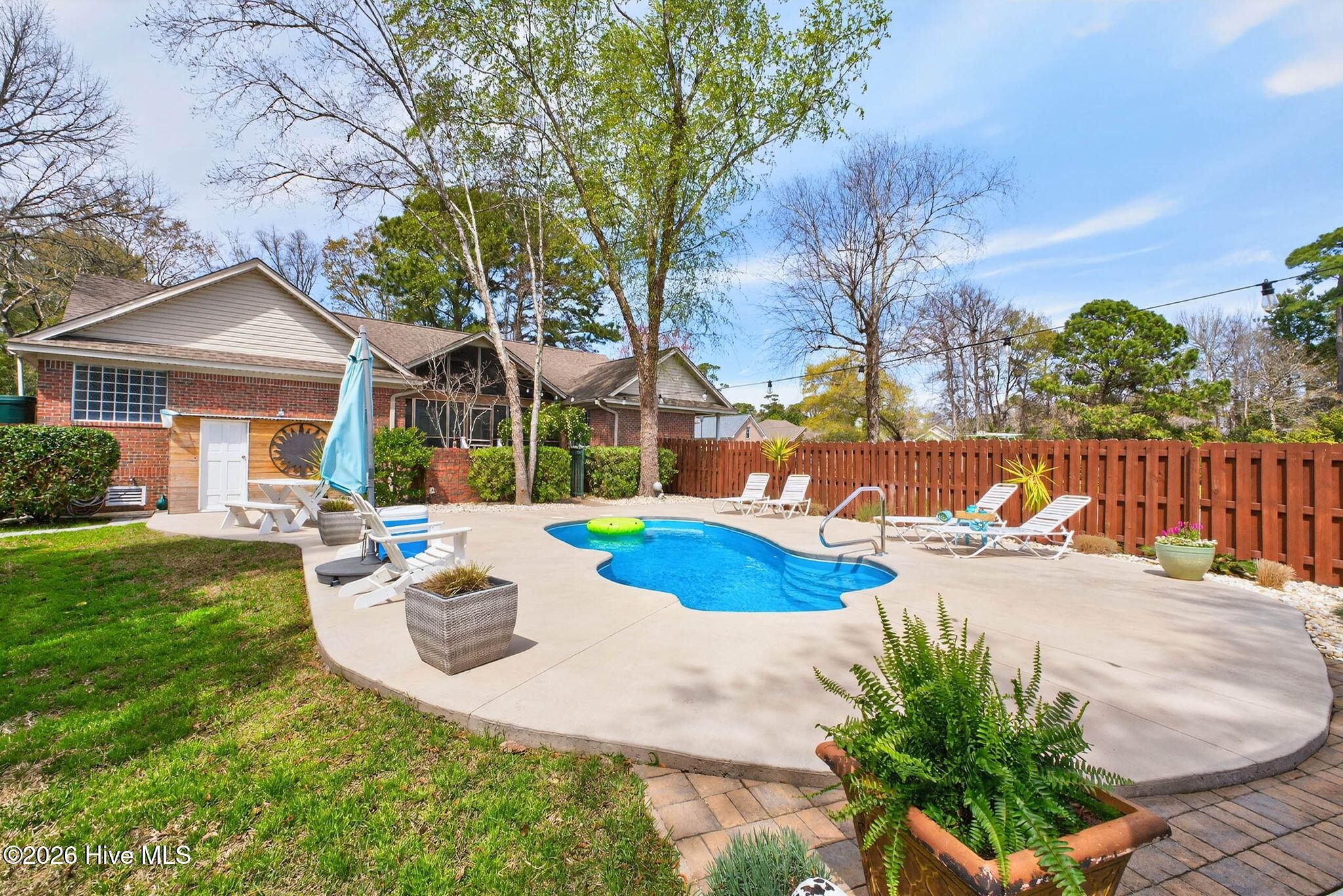 100562589 | Photo 67