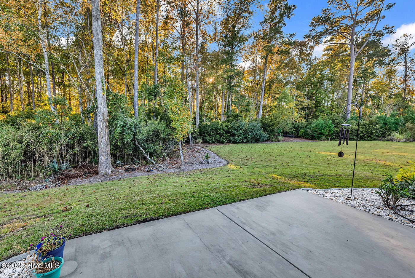 100539654 | Photo 40