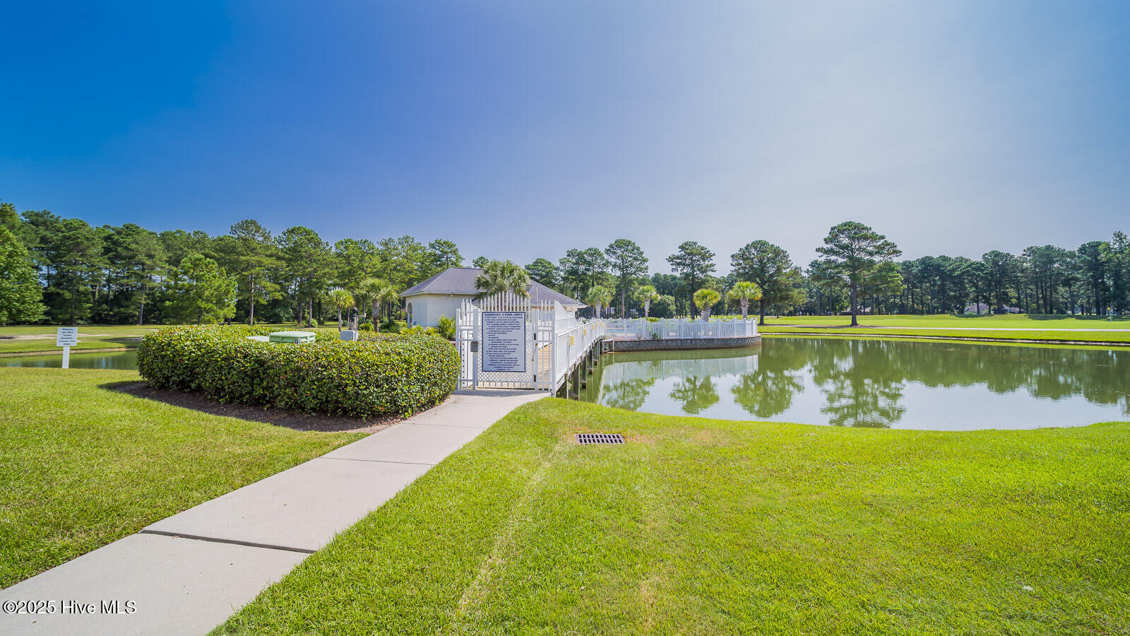 100543233 | Photo 29