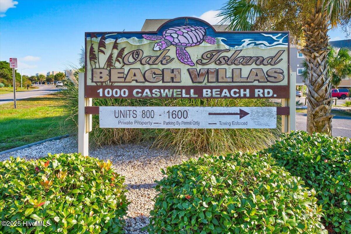 100537947 | Photo 41