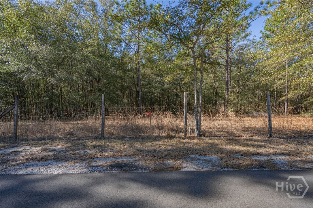 164 Holly, Eden, Georgia, 0 ,Land,For sale,Holly,SA346247