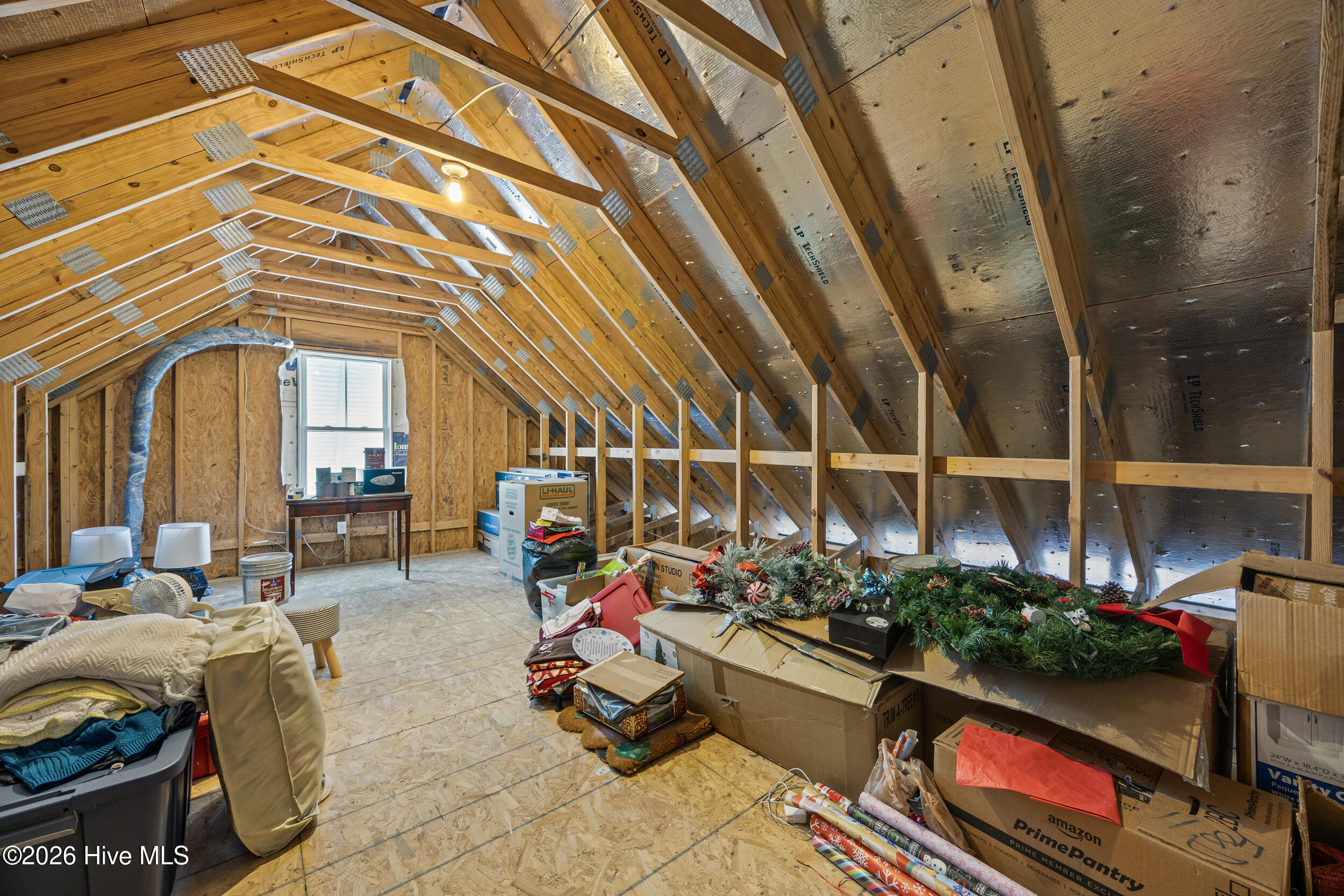 100565647 | Photo 45