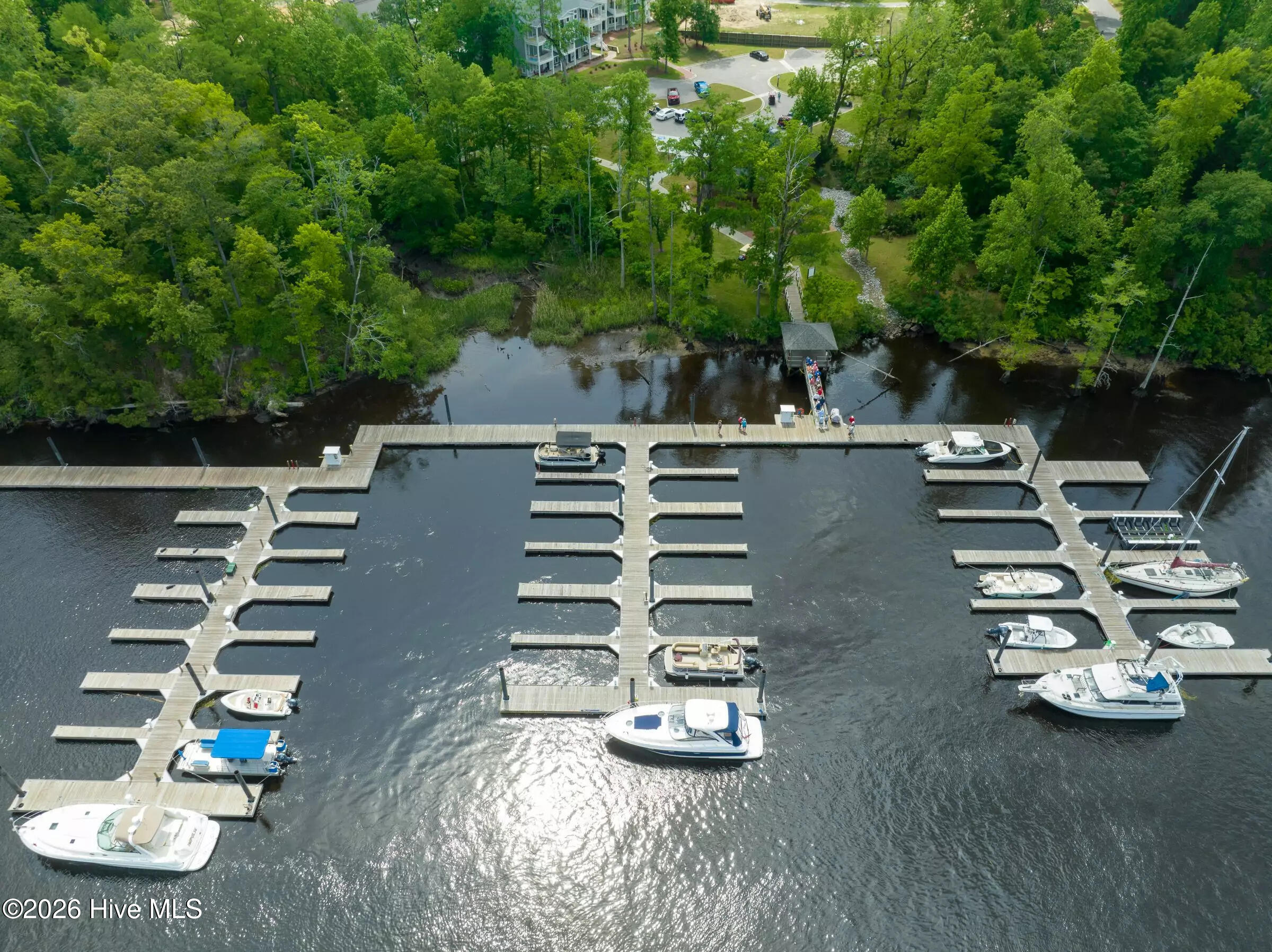 100568555 | Photo 50