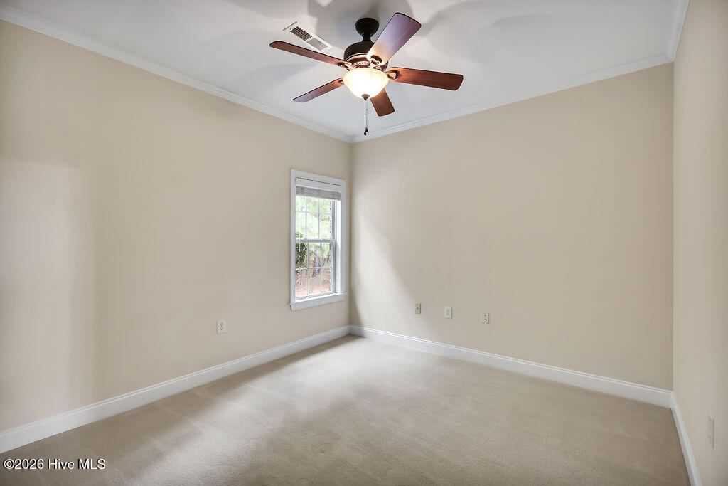 100558712 | Photo 29