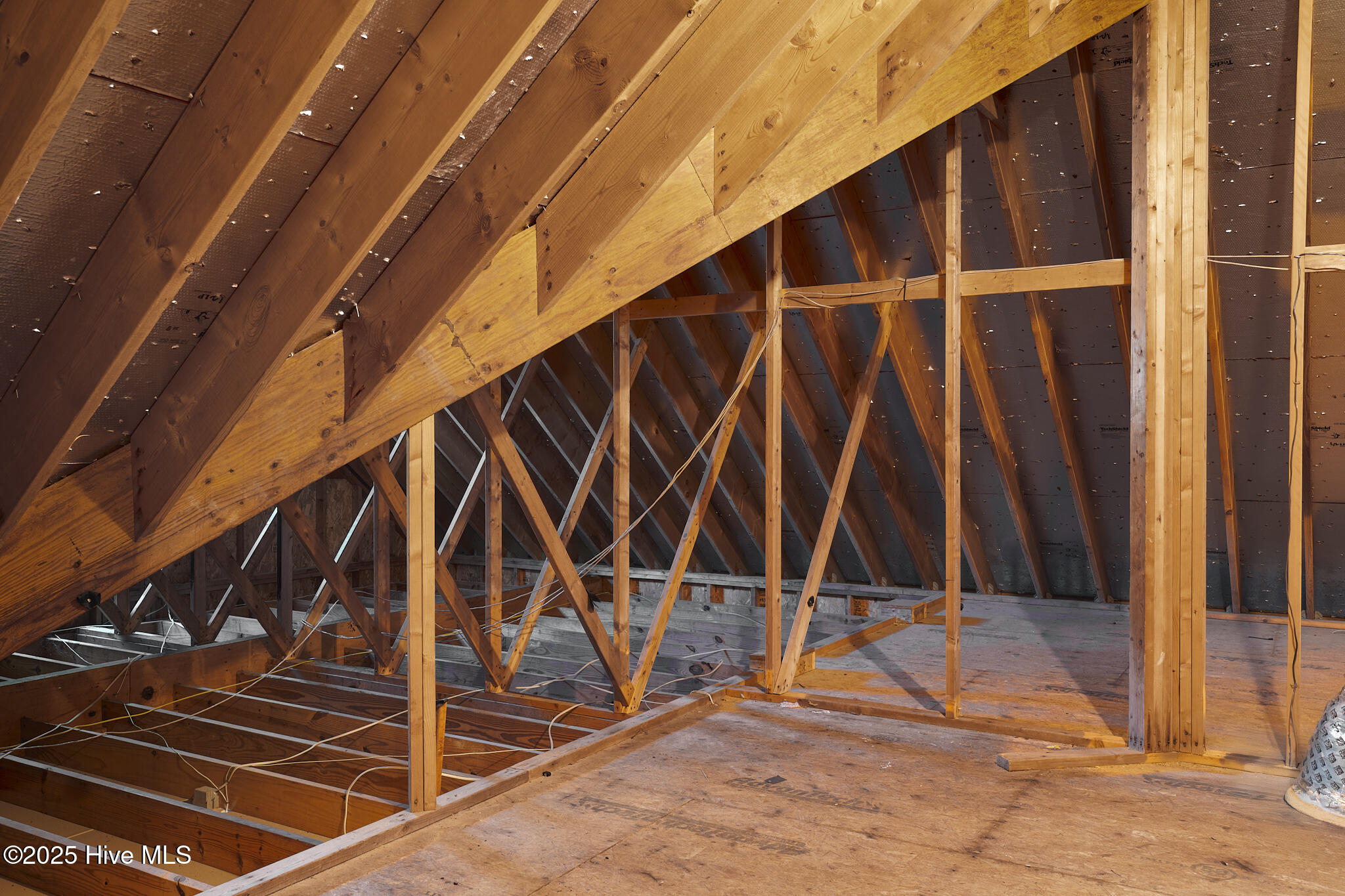 100542410 | Photo 35