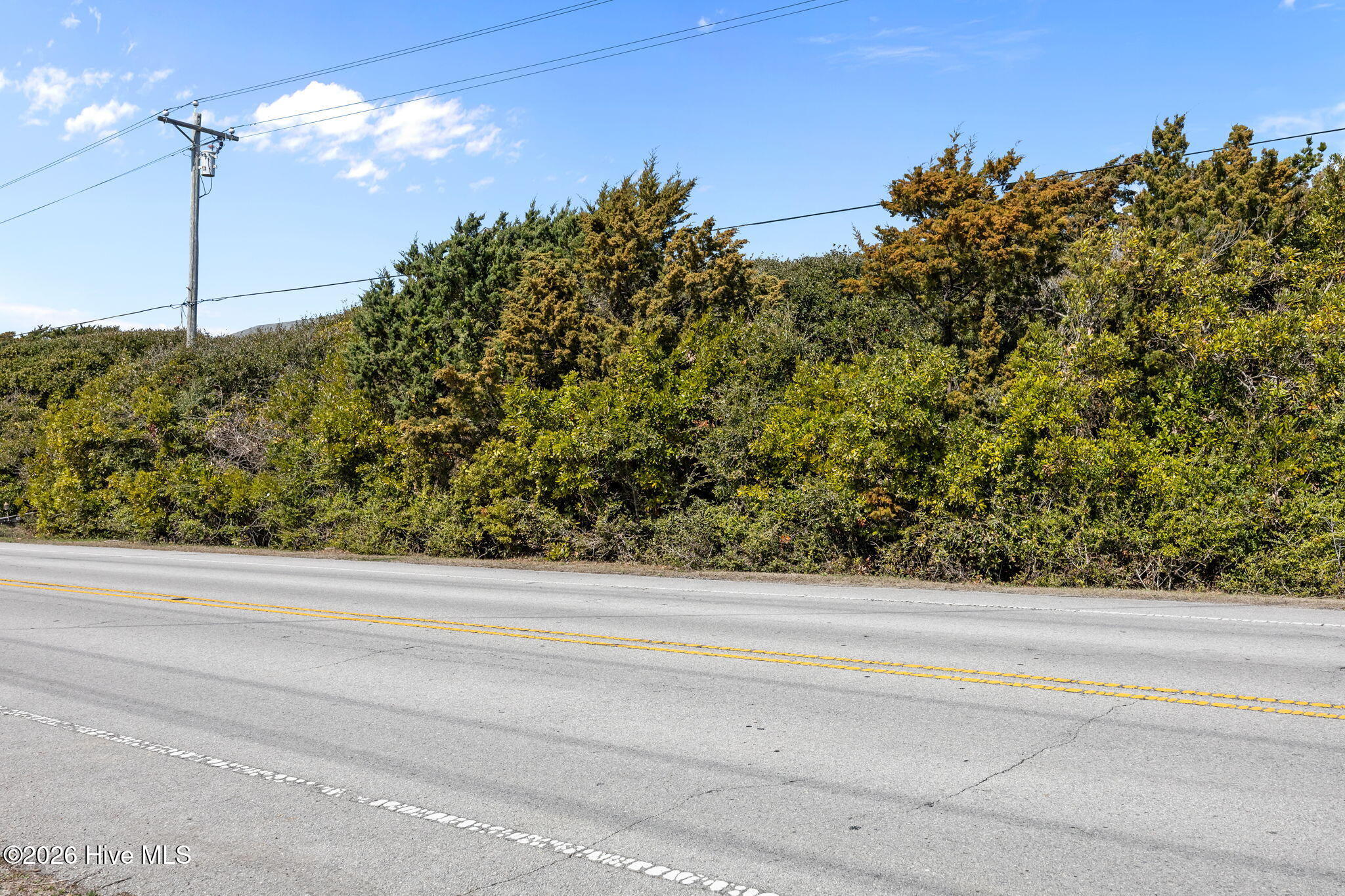 100533525 | Photo 30