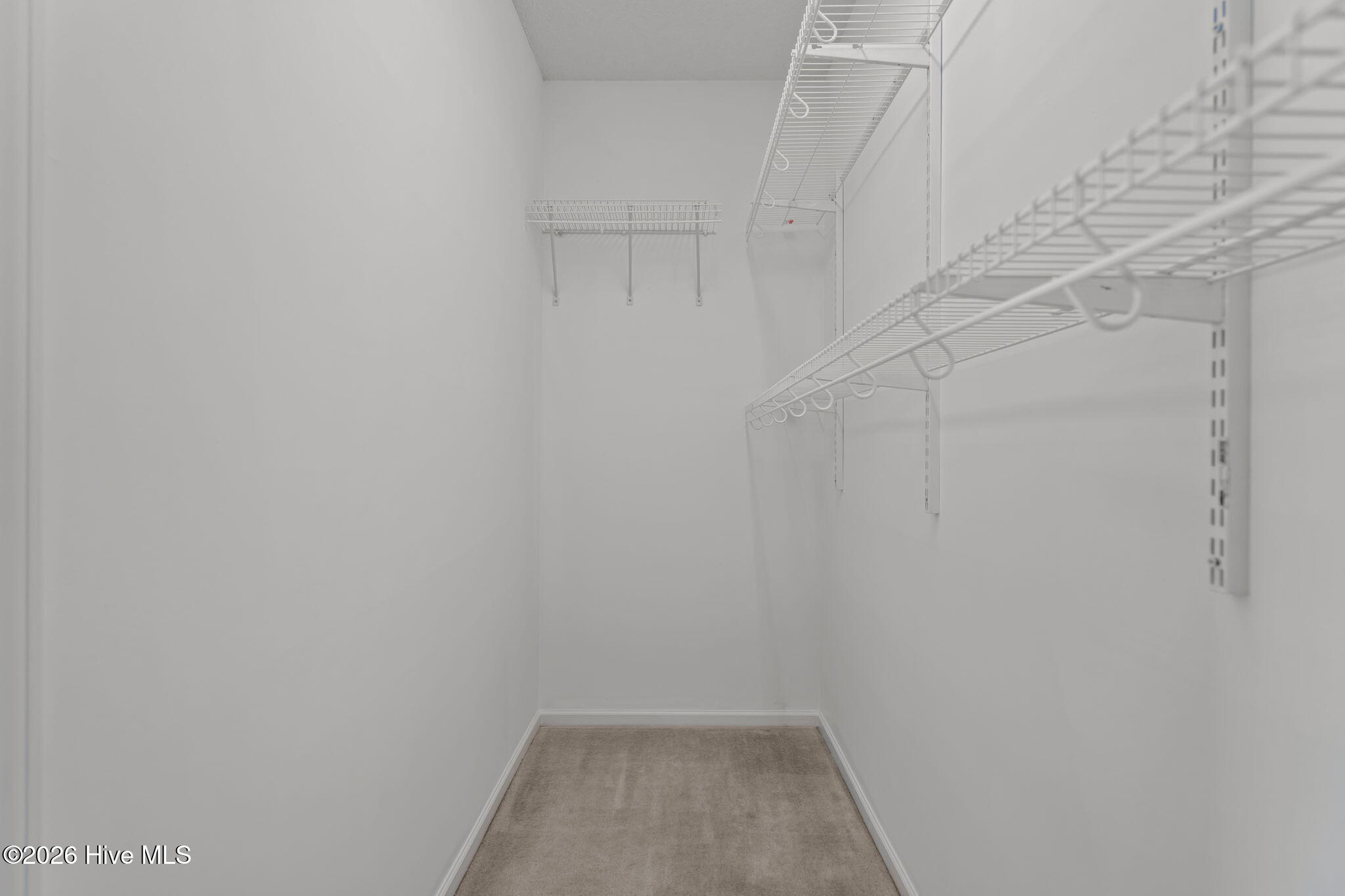 100549107 | Photo 28