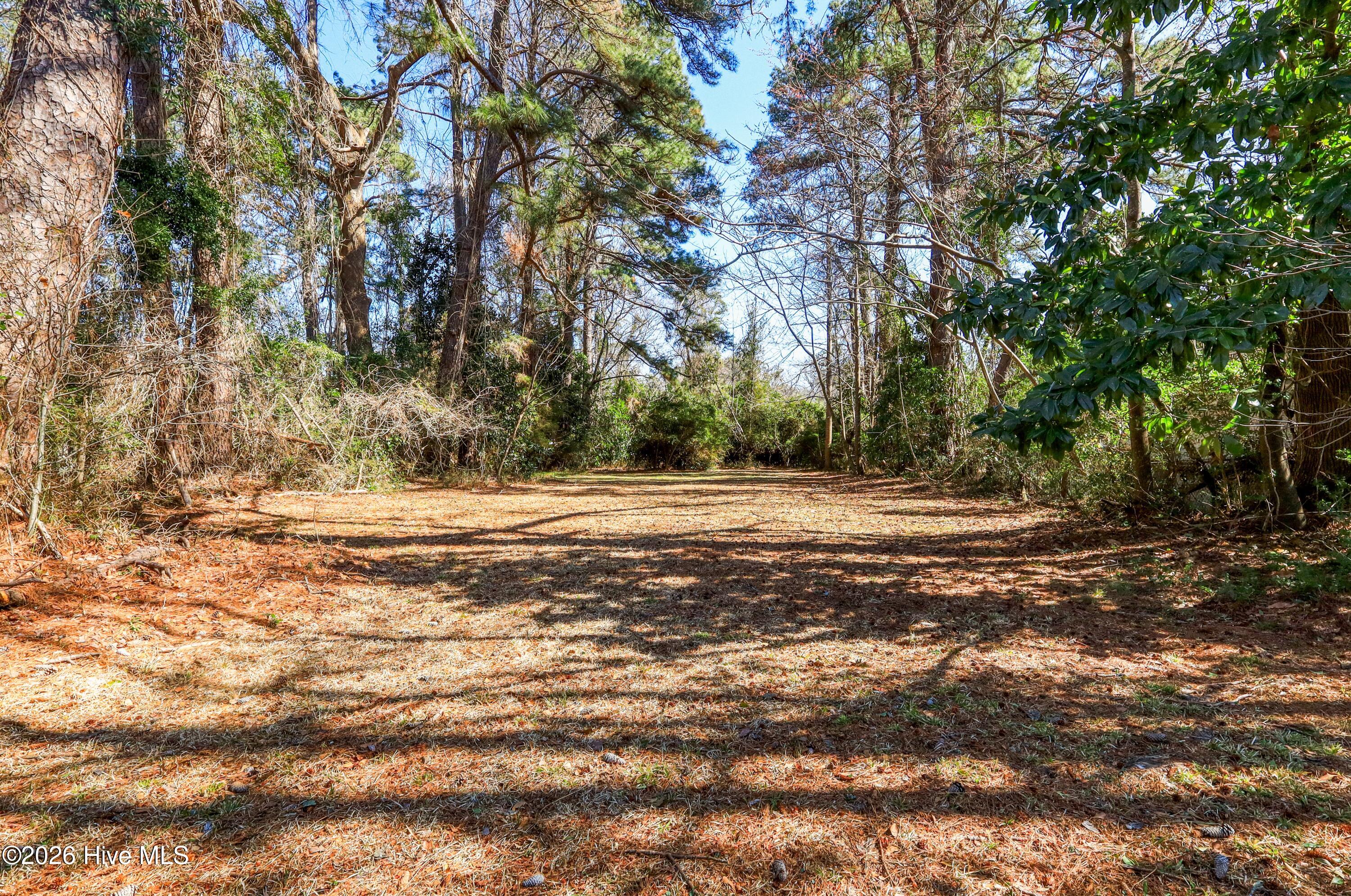 100556489 | Photo 34