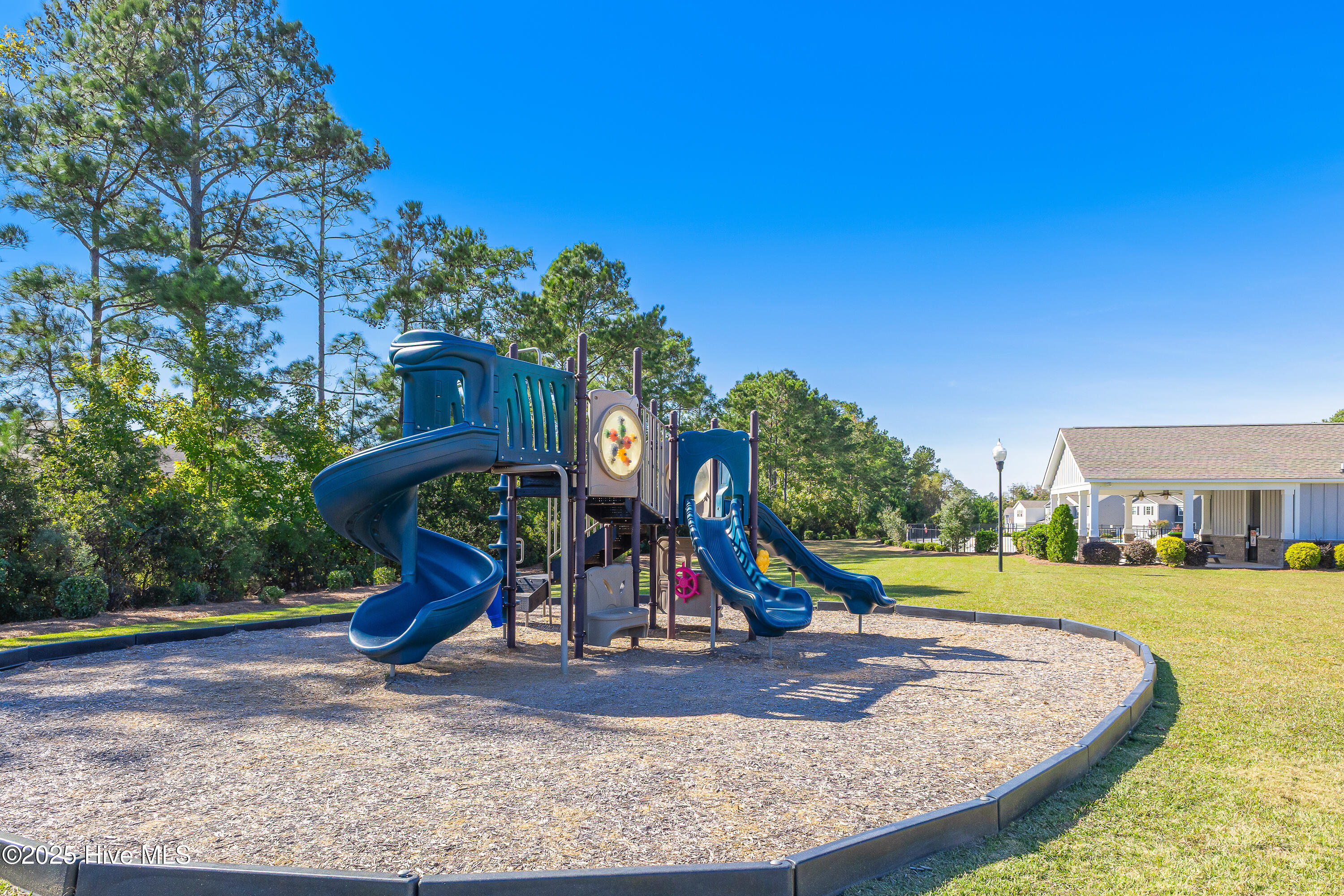 100538359 | Photo 39