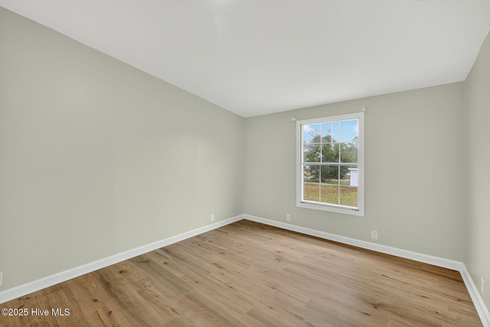 100539132 | Photo 25