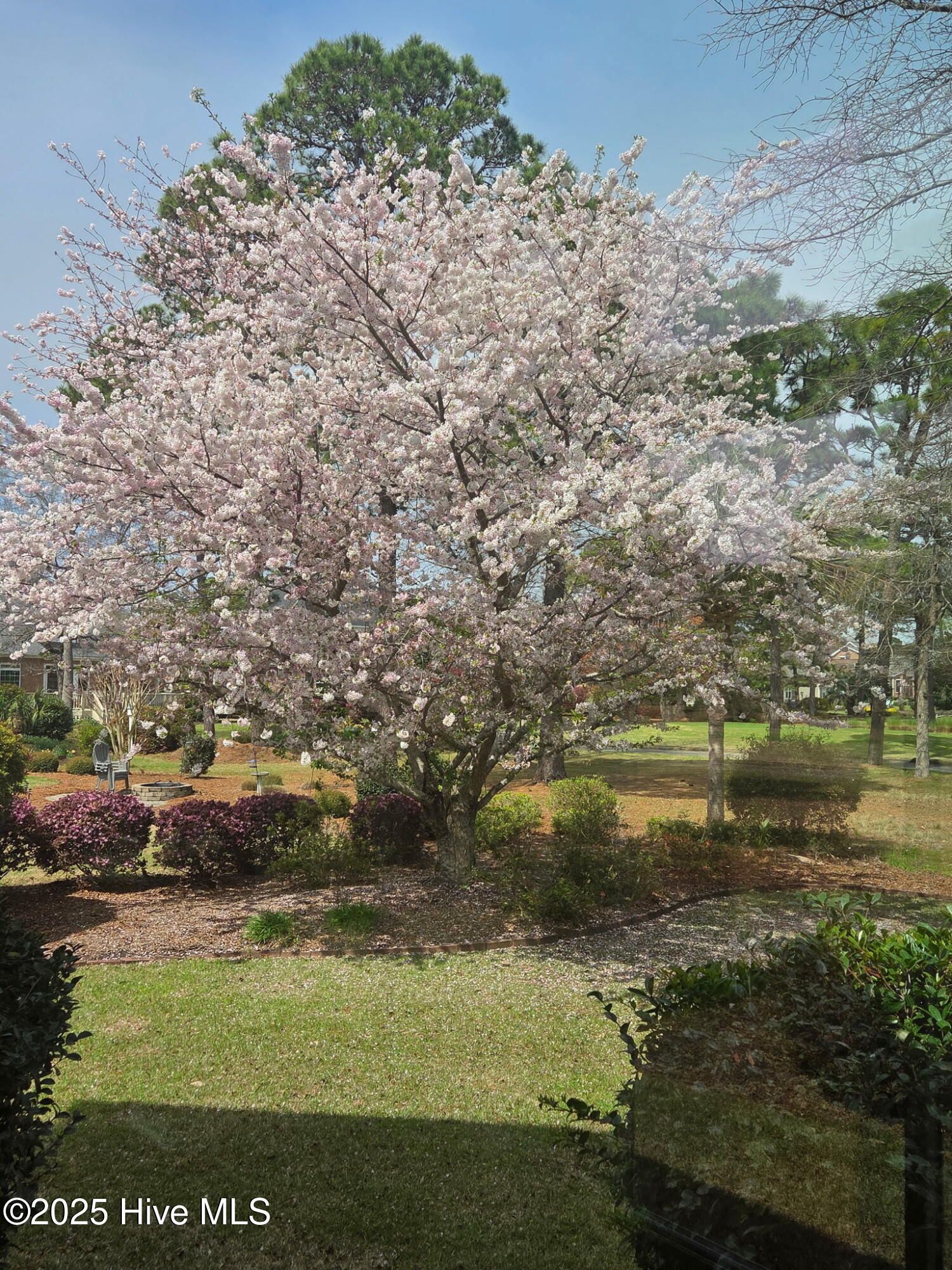 100479094 | Photo 32