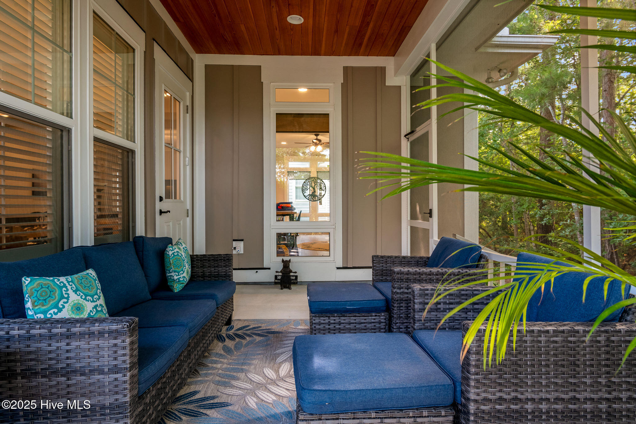 100530246 | Photo 33