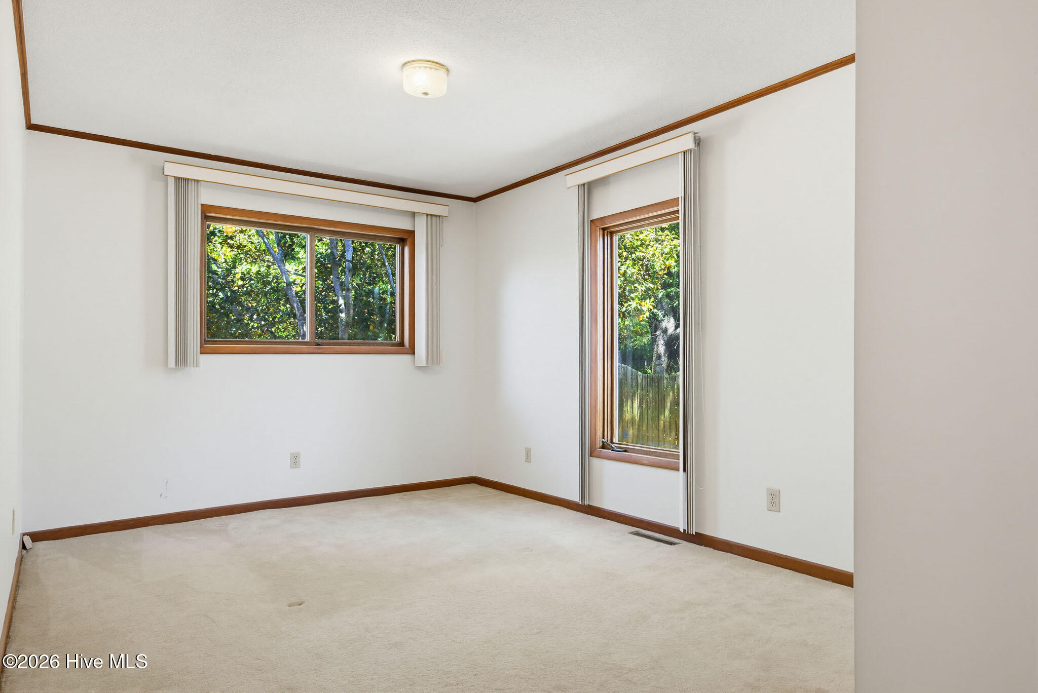 100568983 | Photo 36