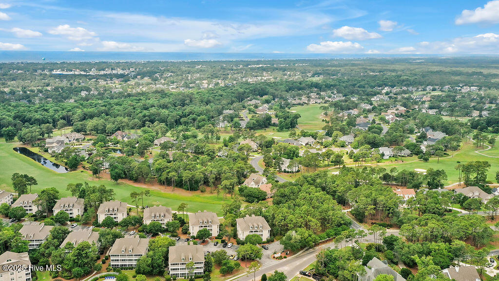 100554585 | Photo 41