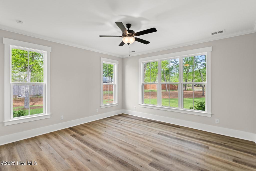 100535859 | Photo 18