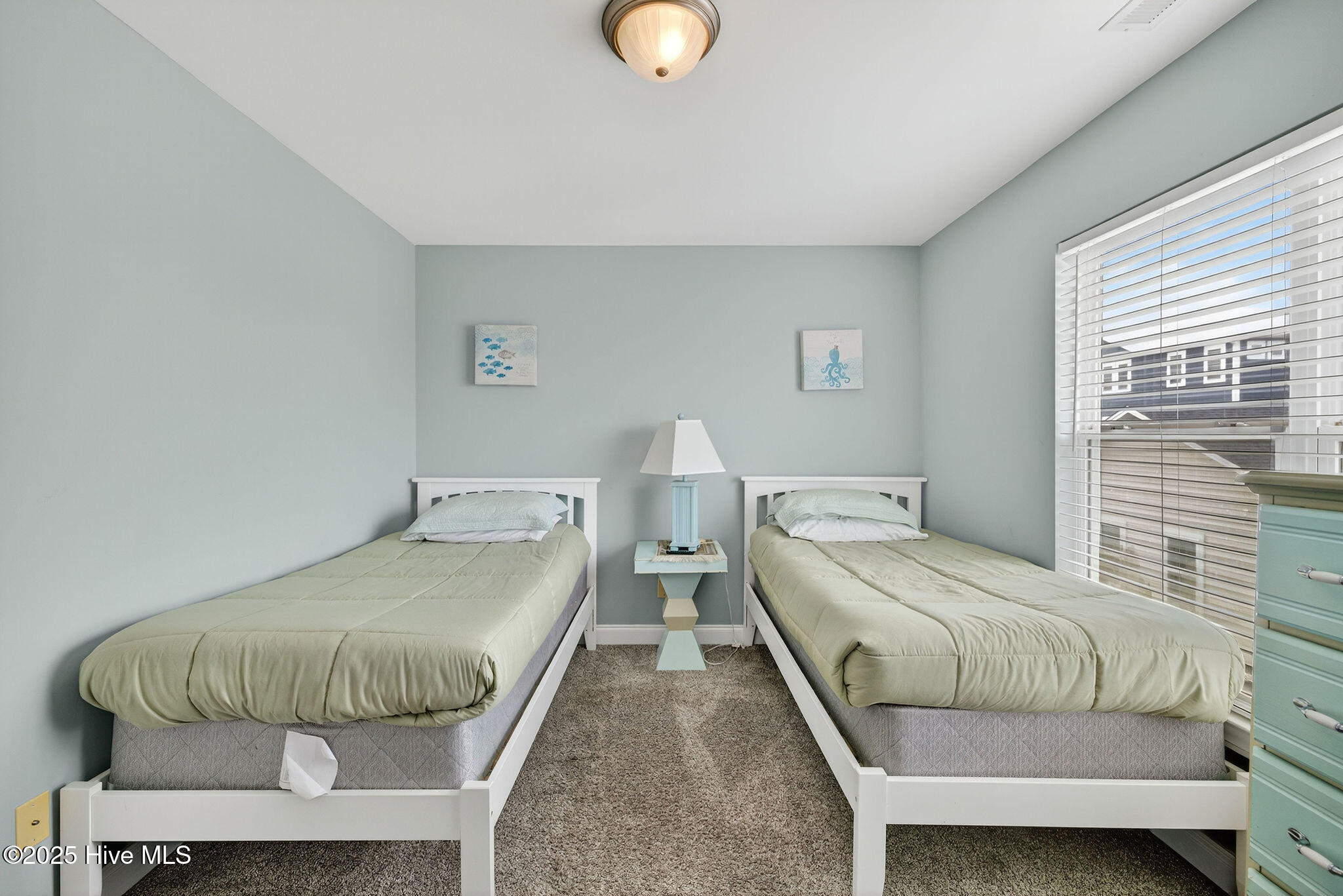 100536023 | Photo 21